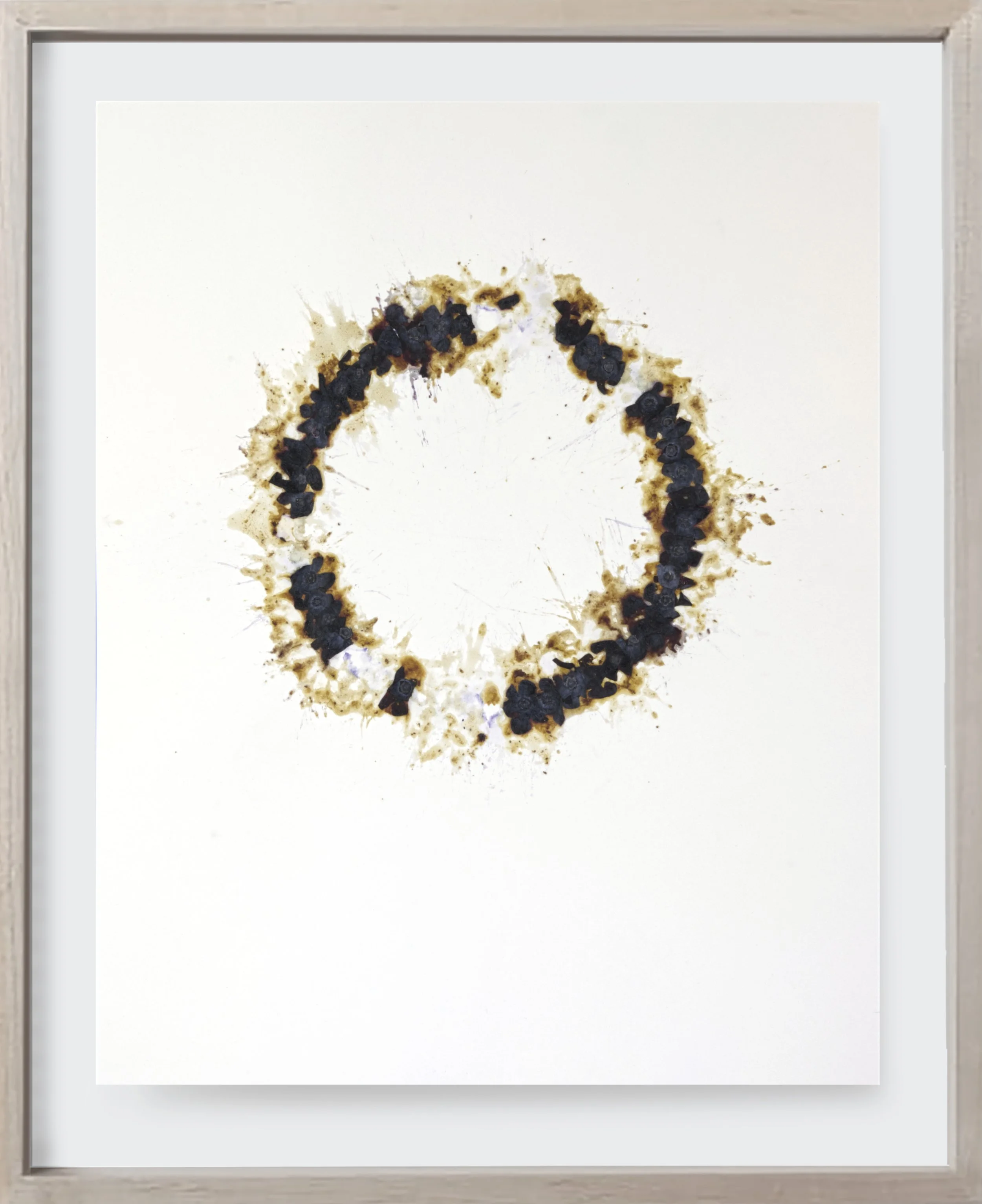  BlueBerry#137, 2022  
Crushed blueberries on archival paper. (19 x 24 )   Unframed    