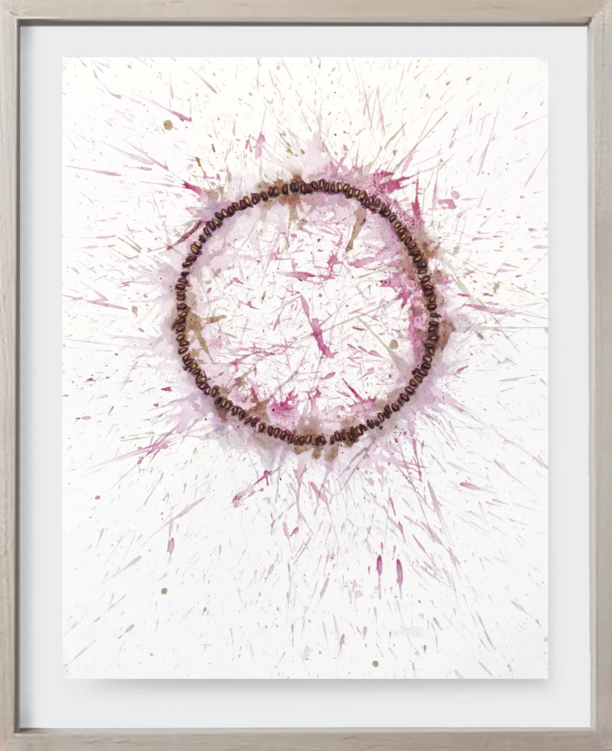  Pomegranate#180, 2025  
Crushed pomegranate on archival paper. (19 x 24 )   Unframed    