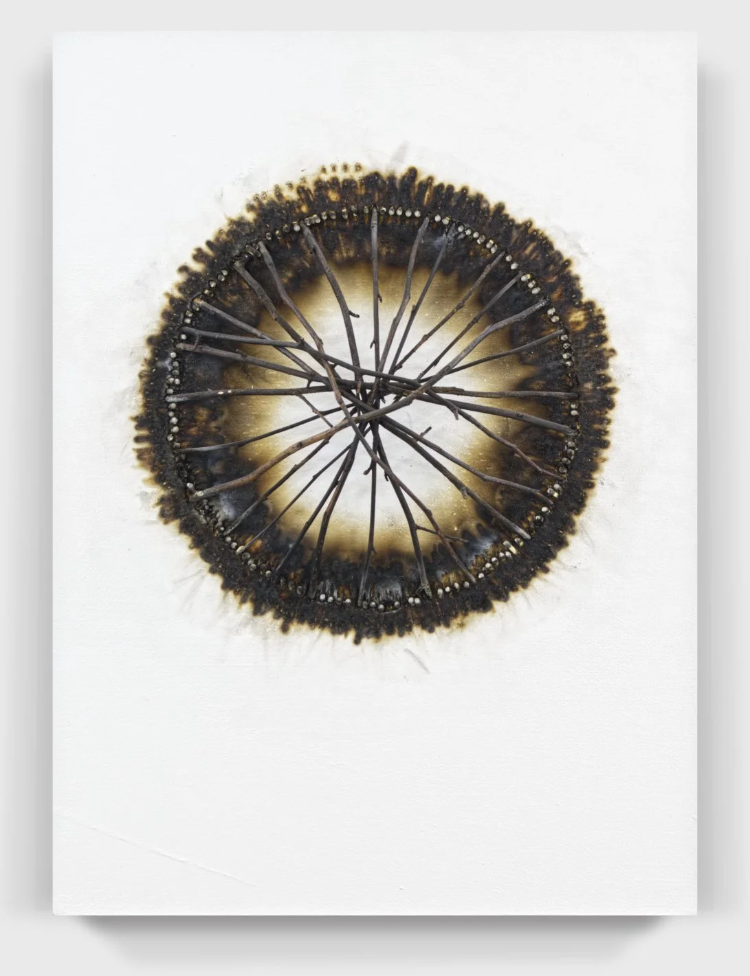   Burnt#98, 2024   
Burnt branches on a painted wooden panel.
 (16 x 22 x 4 in.)   