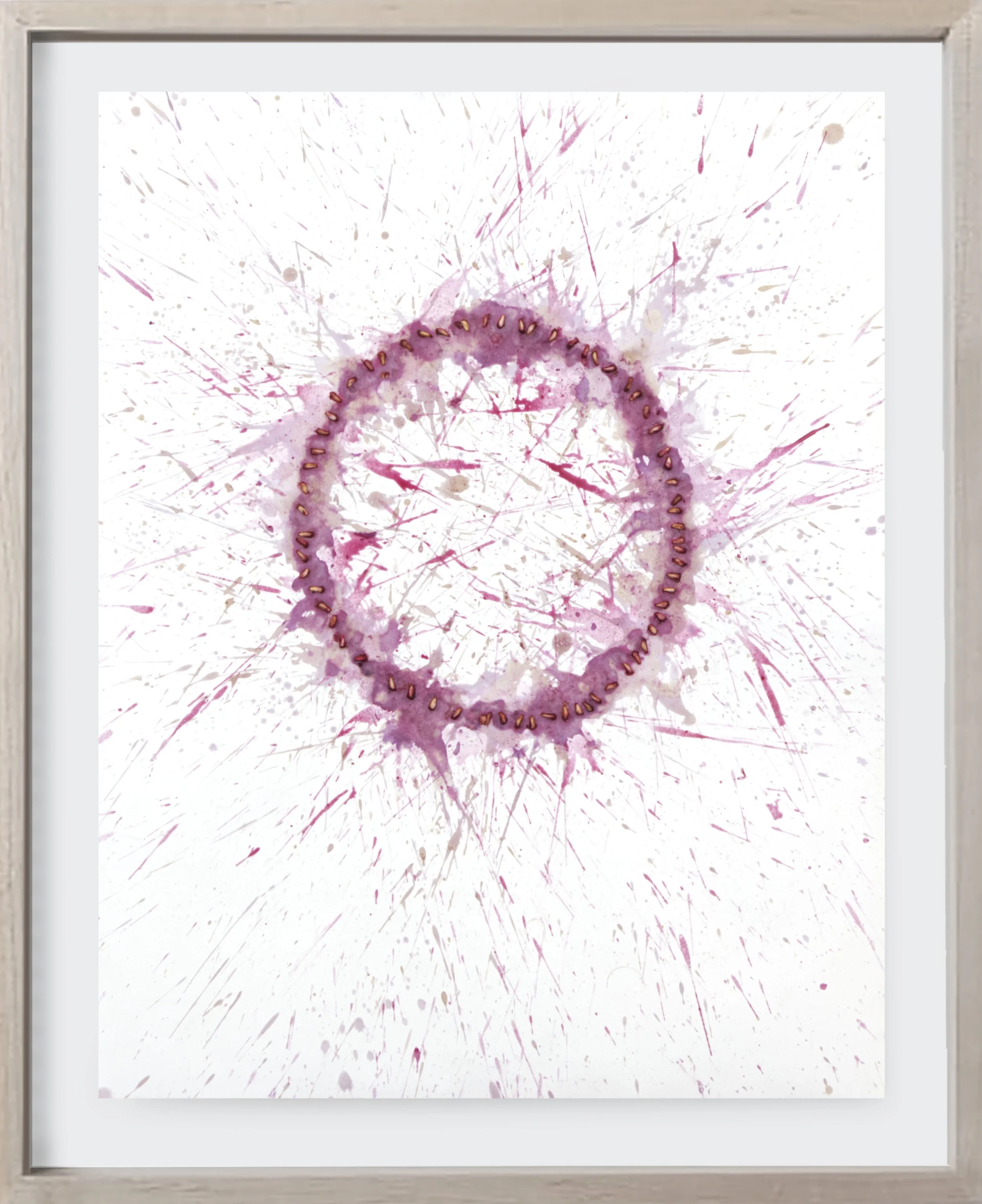  Pomegranate#175, 2025  
Crushed pomegranate on archival paper. (19 x 24 )   Unframed    
