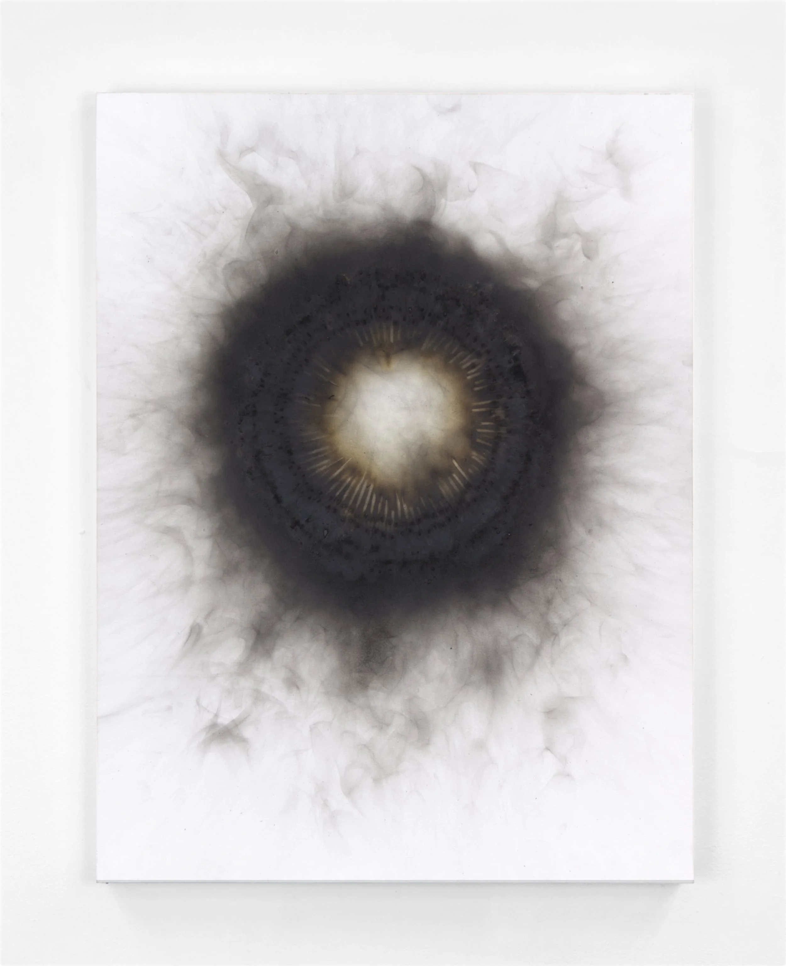 Burnt#134, 2025

 

 Kerosene oil, match heads, &amp; acrylic enamel on a wooden panel.   (18 x 24 x 1.75 in.)   