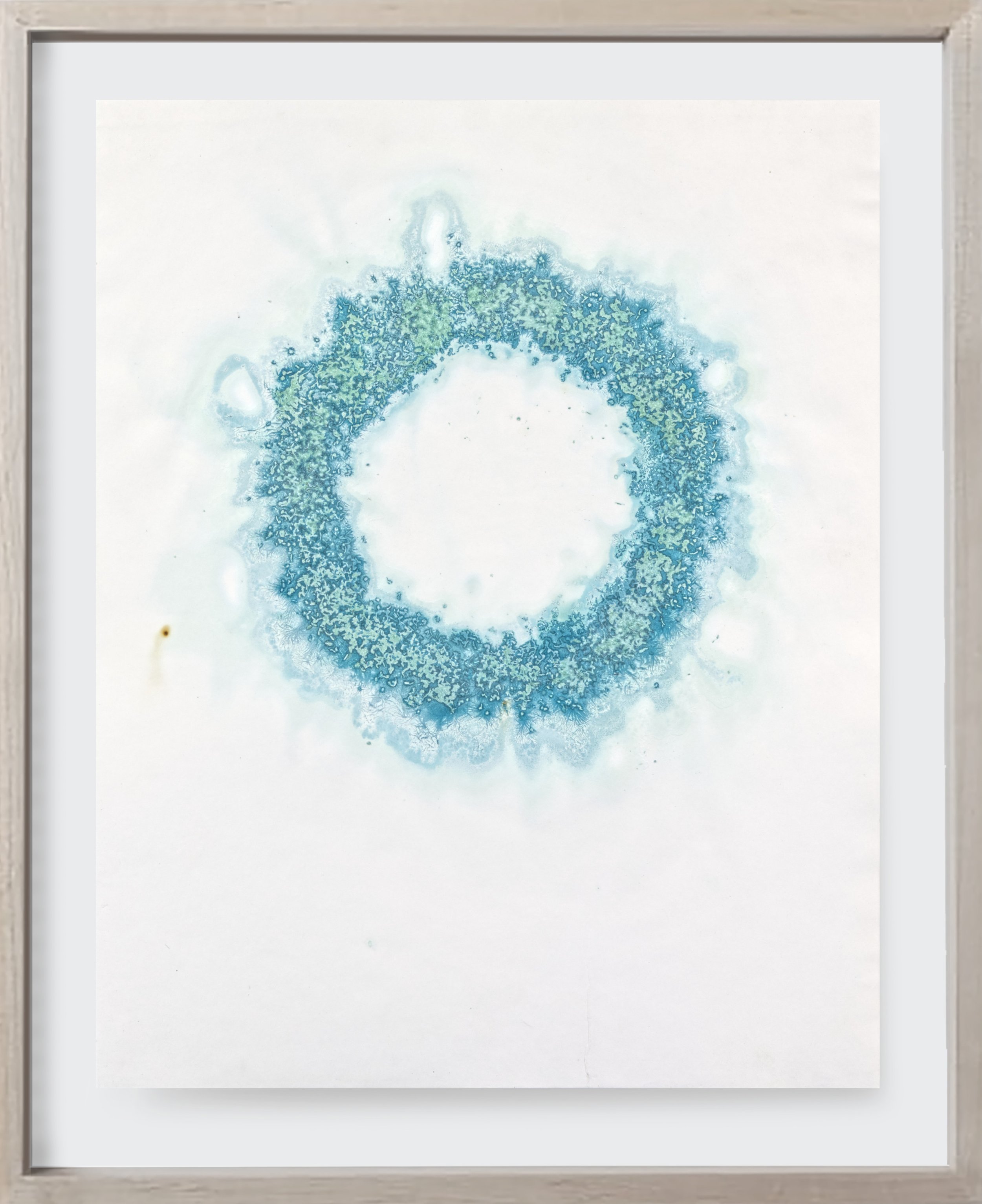   Verdigris#136, 2023   
Copper on archival paper. (18 x 24 )   Unframed    