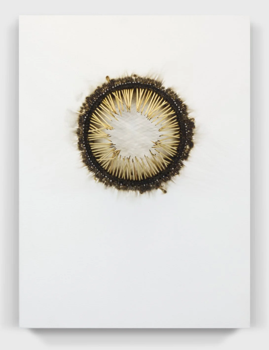   Burnt#93, 2024      Provenance [Private collector.]     