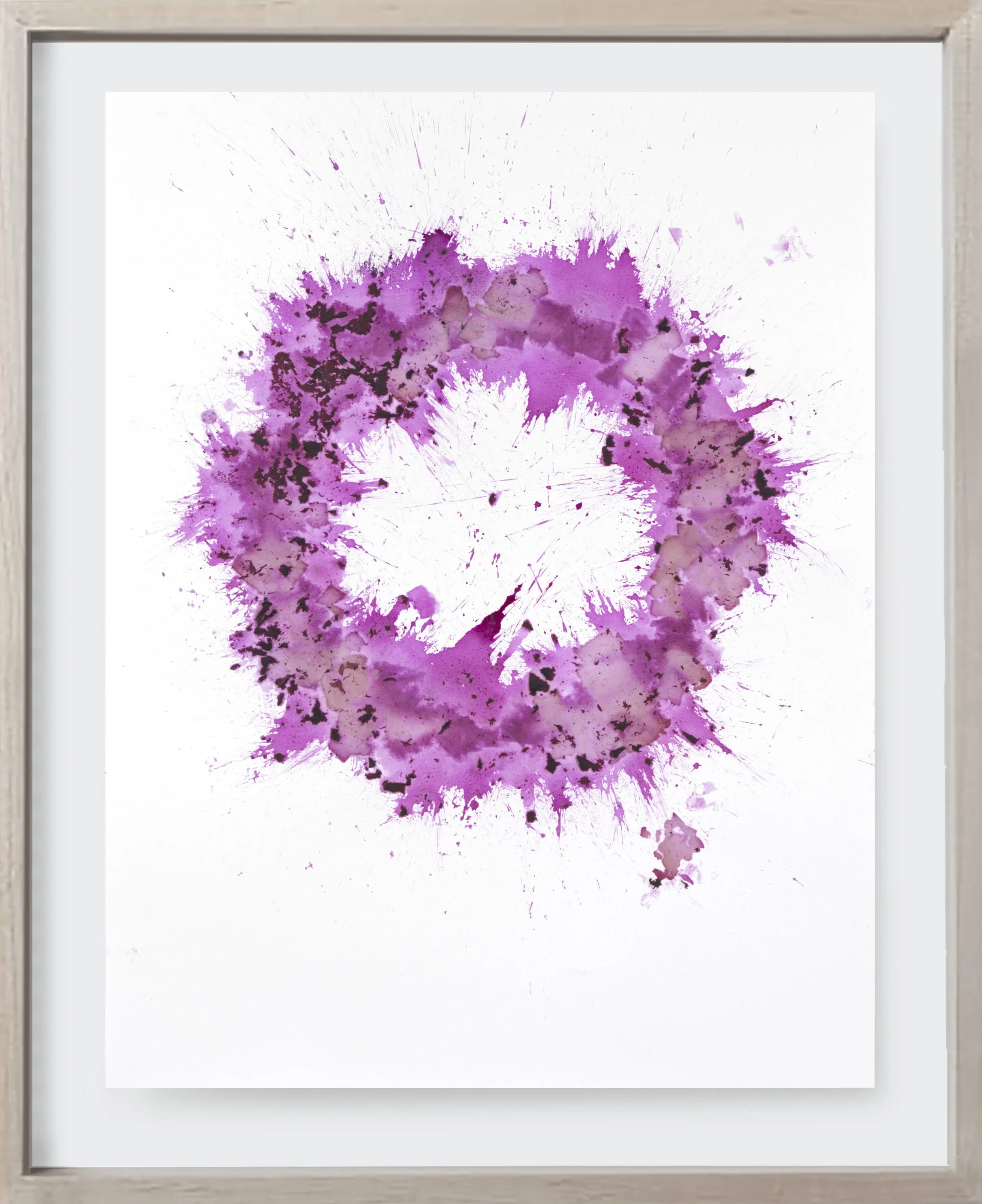  Beet#117, 2022  
Crushed beets on archival paper. (19 x 24 )   Unframed    