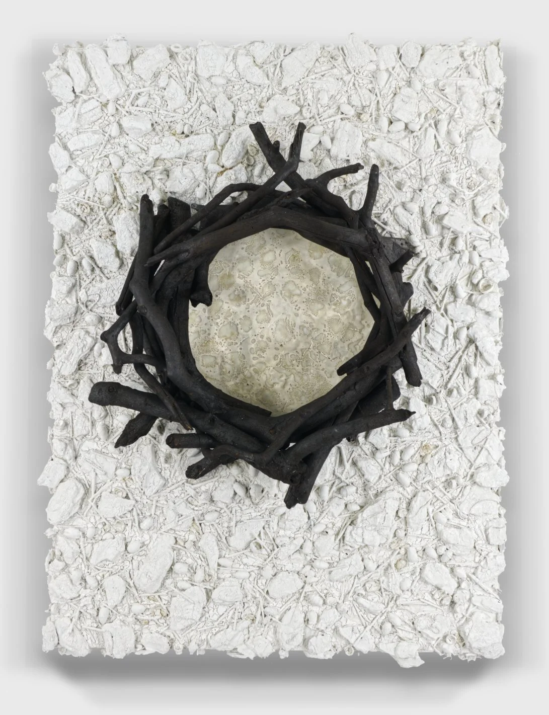   Burnt#100, 2024   
Burnt branches, pine bark on painted wooden panel.  (30 x 40 x 6 in.)   