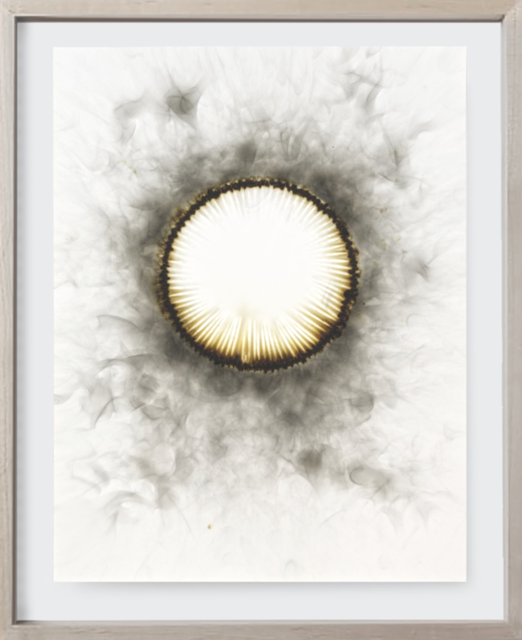  Burnt#122, 2022  
Kerosene soot on archival paper. (19 x 24 )   Unframed 