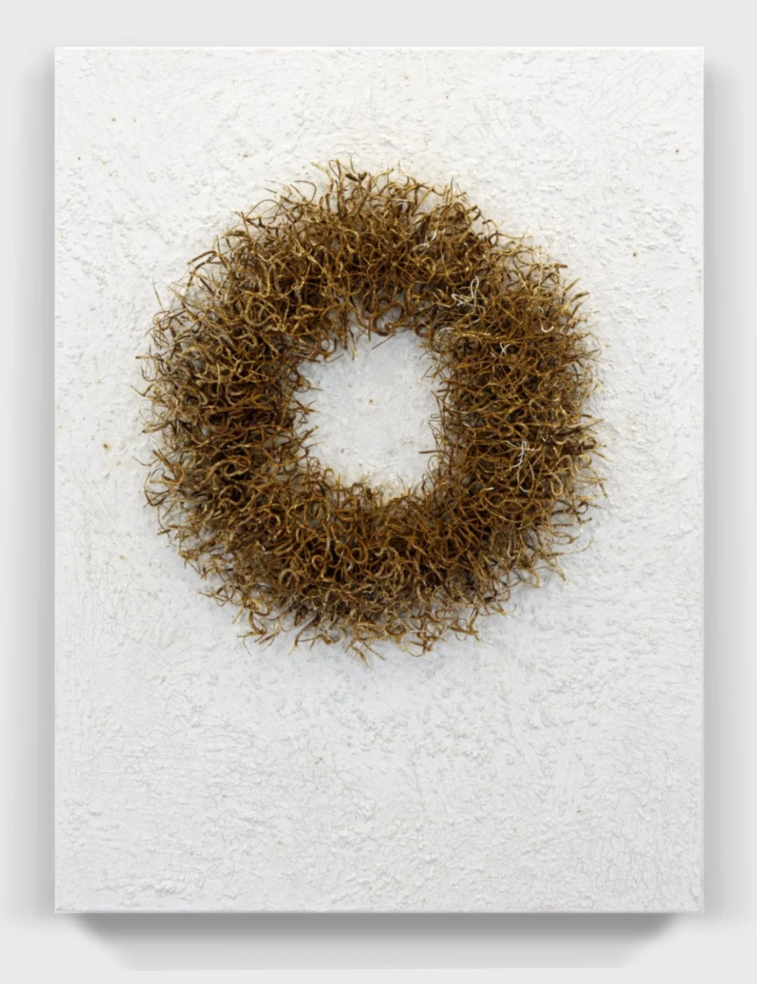 Rust#96, 2023  
Rusted wire through a painted wooden panel.  (18 x 24 x 3.75 in.)   