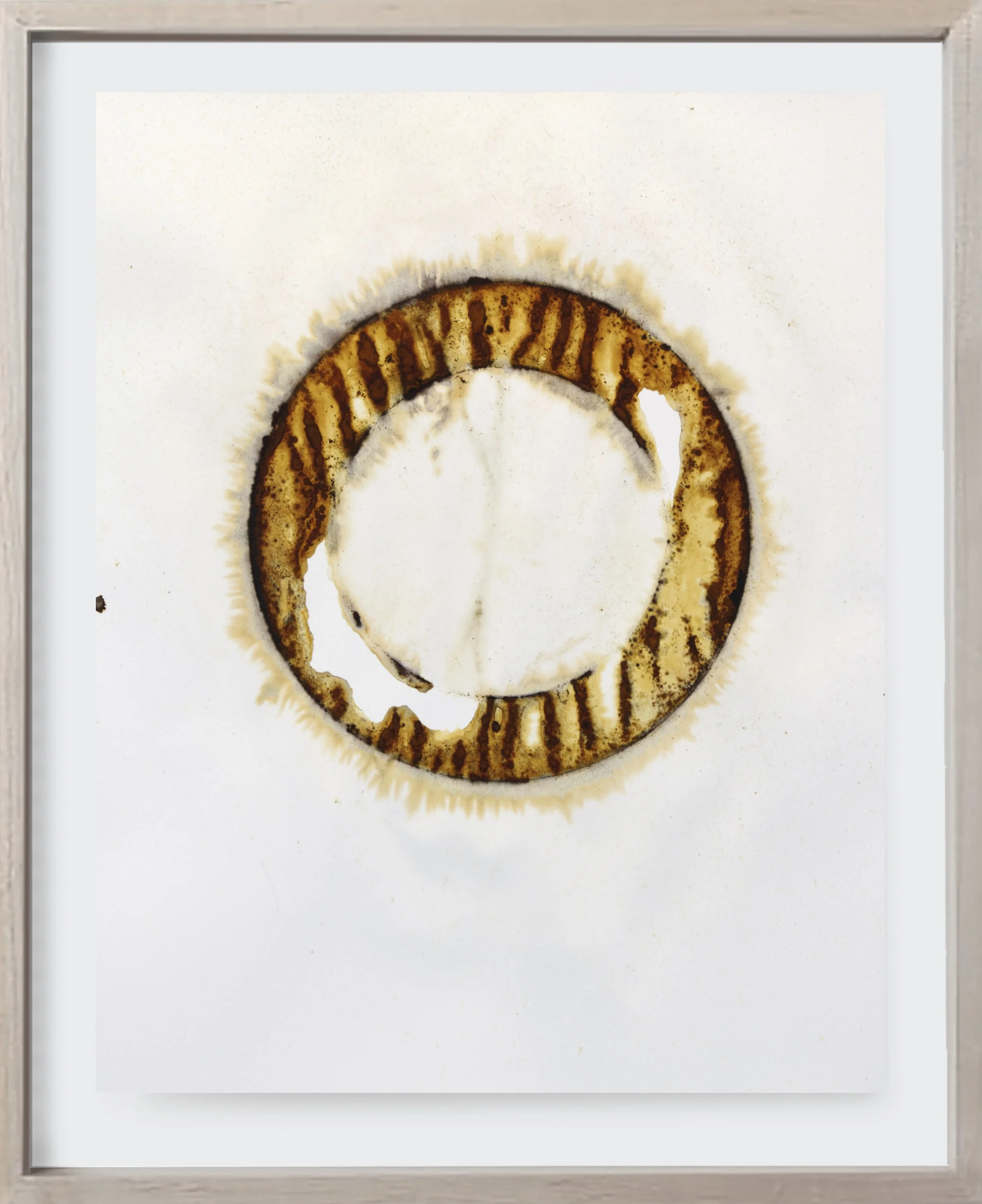  Rust#182, 2025  
Iron on archival paper. (18 x 24 )   Unframed    