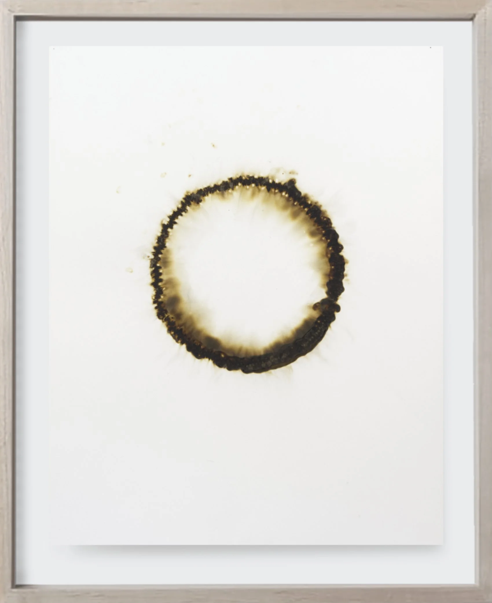  Burnt#141, 2023  
Burnt match heads on archival paper.  (18 x 24 )    Unframed  