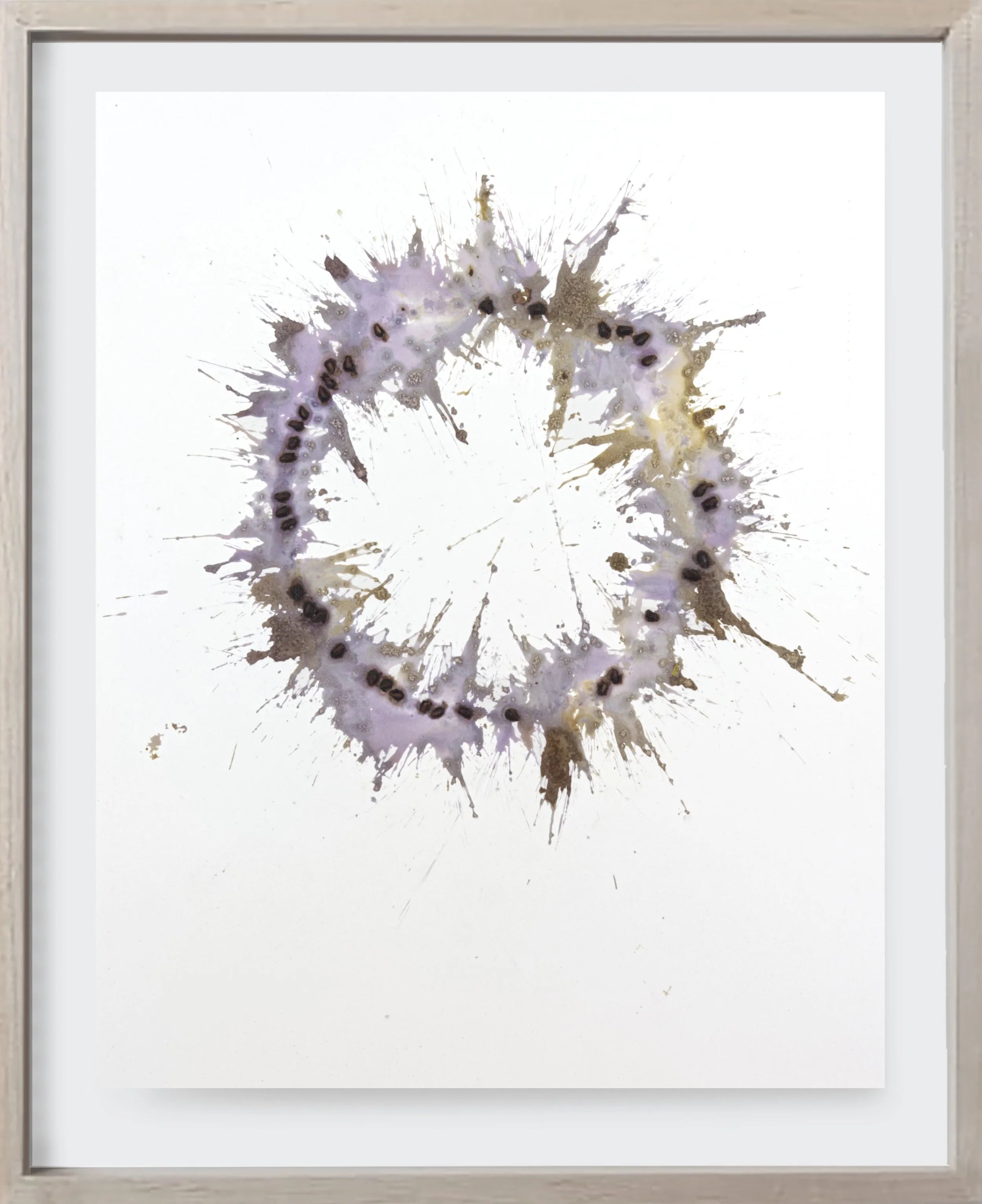 Pomegranate#157, 2024  Crushed pomegranate on archival paper. (19 x 24 )   Unframed    
