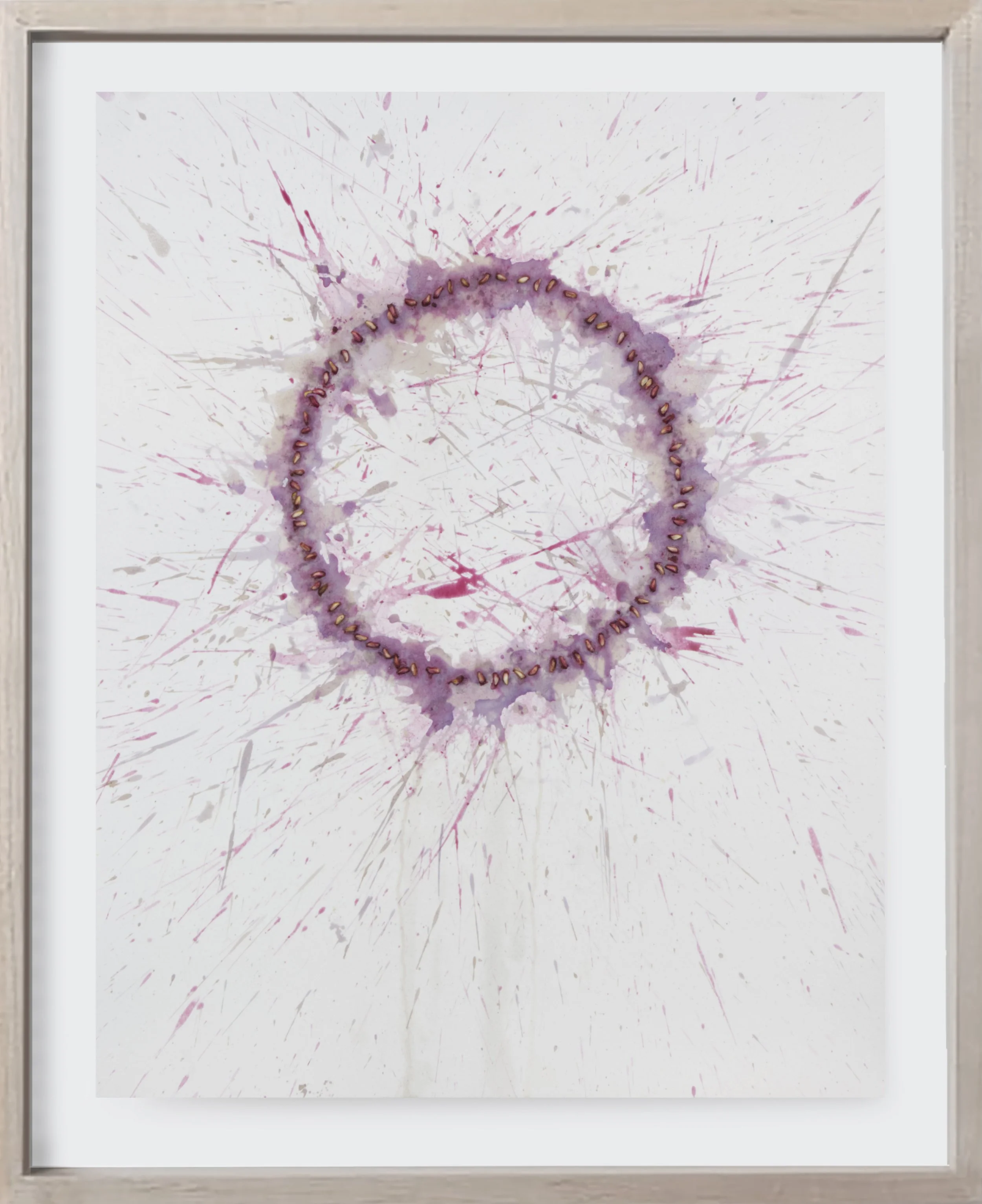  Pomegranate#176, 2025  
Crushed pomegranate on archival paper. (19 x 24 )   Unframed    