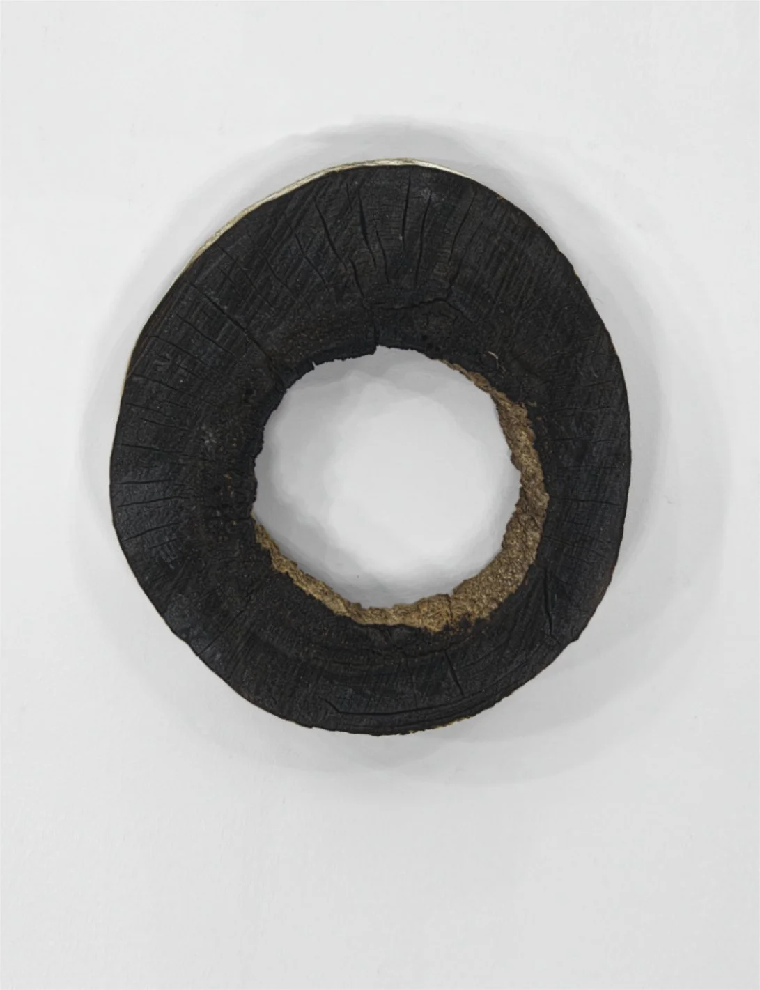 Burnt#80, 2023

 

 Burnt, hollow sycamore tree slice.   (11.5 x 12.75 x 2.5 in)