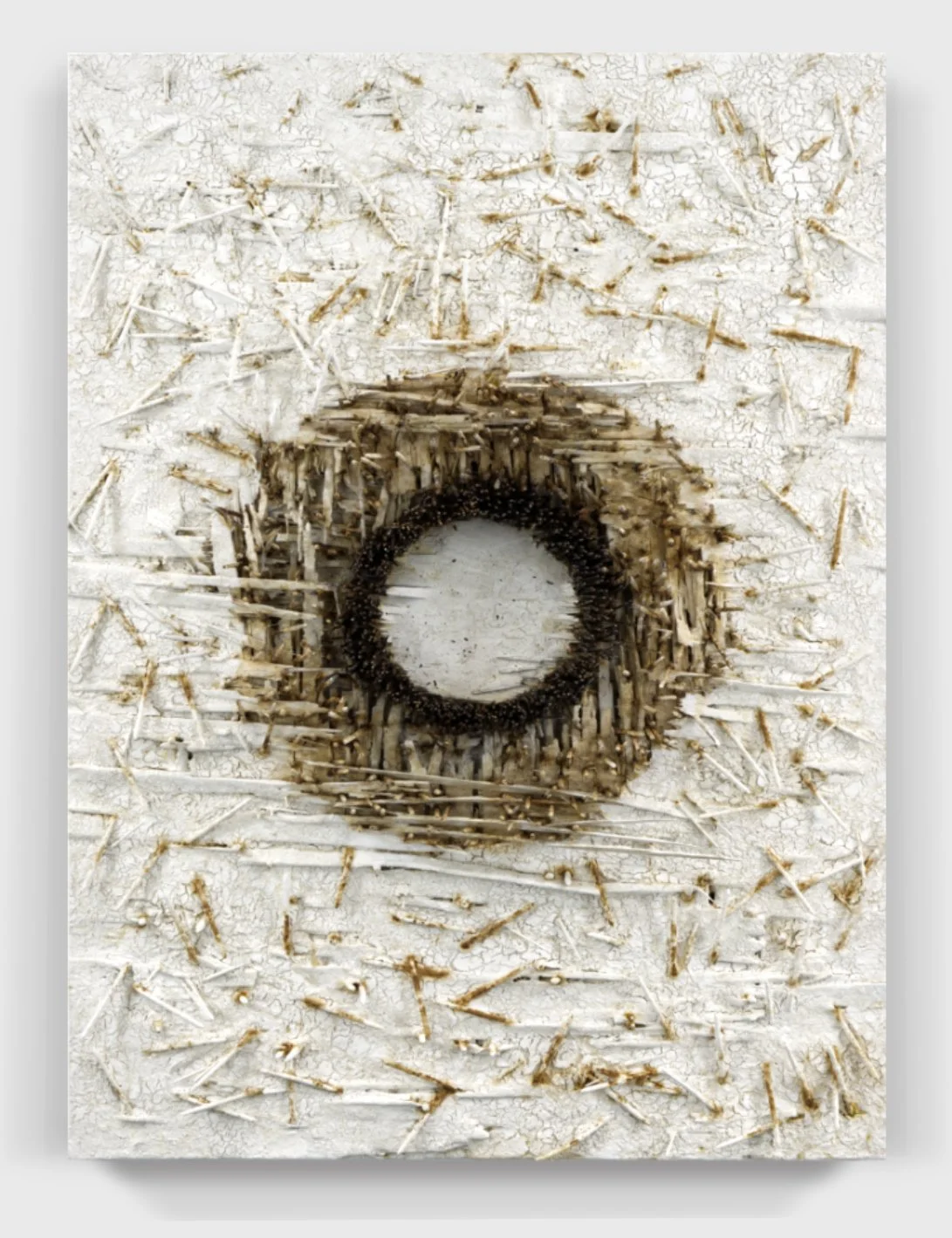  Oxidized#132, 2026  
Rusted nails through a painted wooden panel.  (23 x 32 x 5 in.)   
