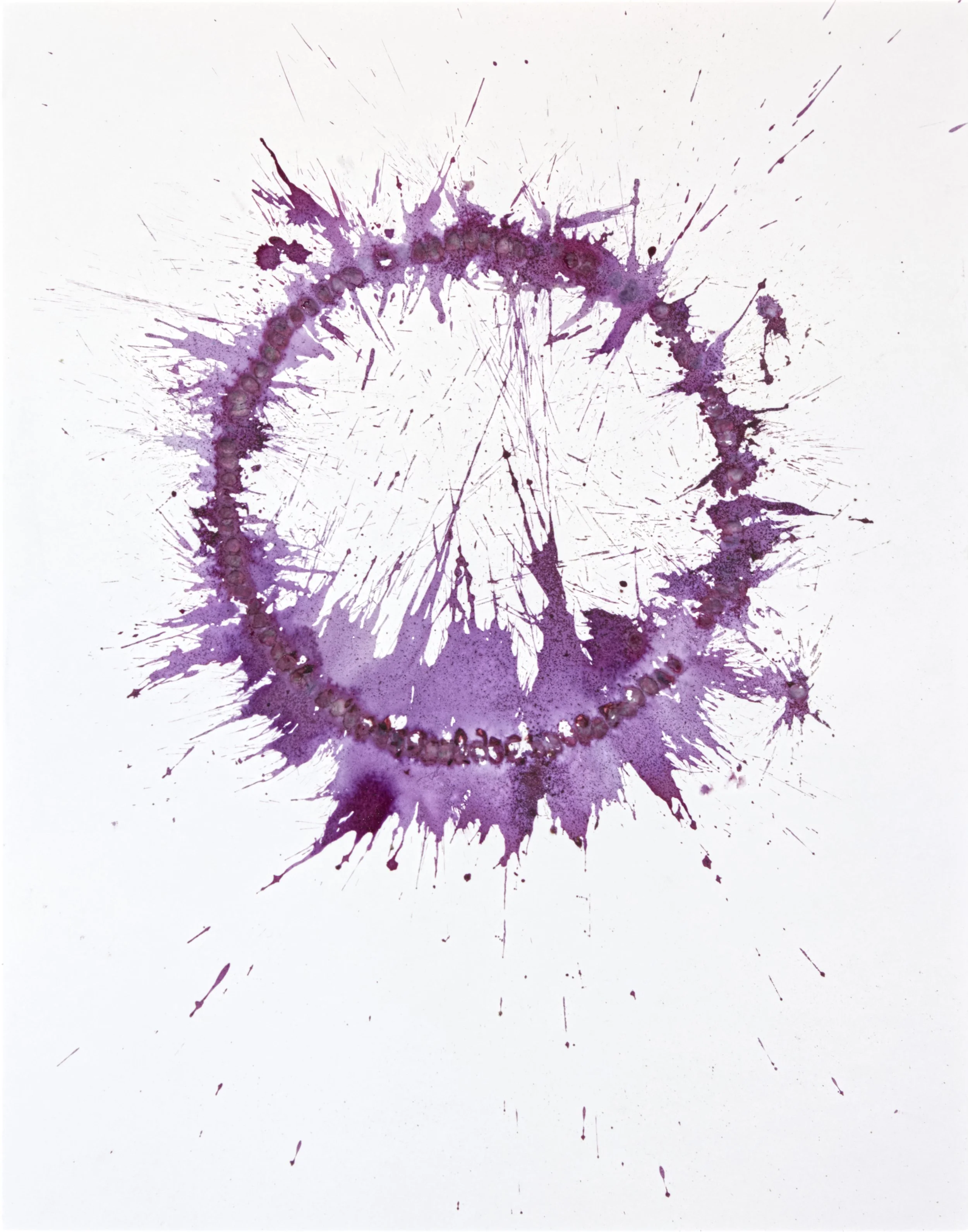 Portal-Pomegranate#155_Sing.jpg