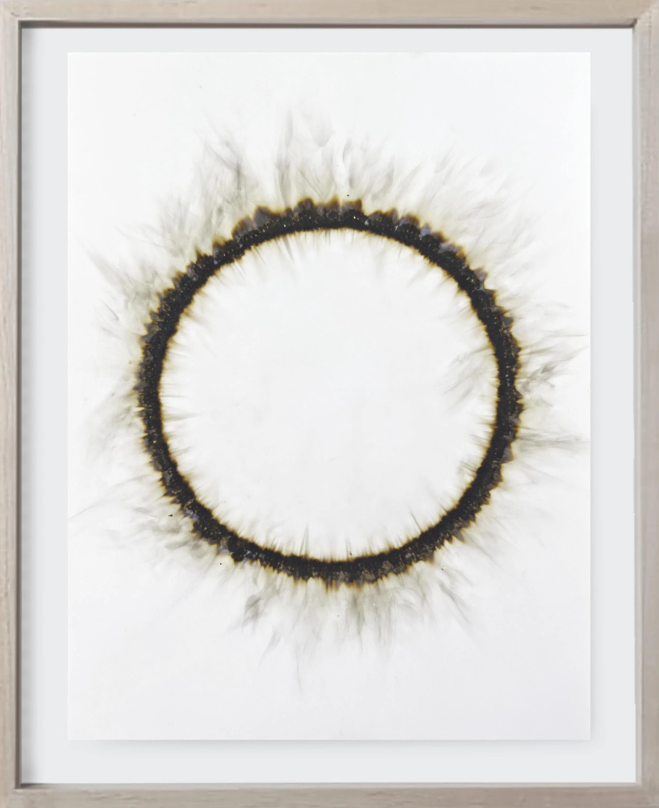  Burnt#102, 2024   
Burnt match heads on archival paper.  (18 x 24 )    Unframed  