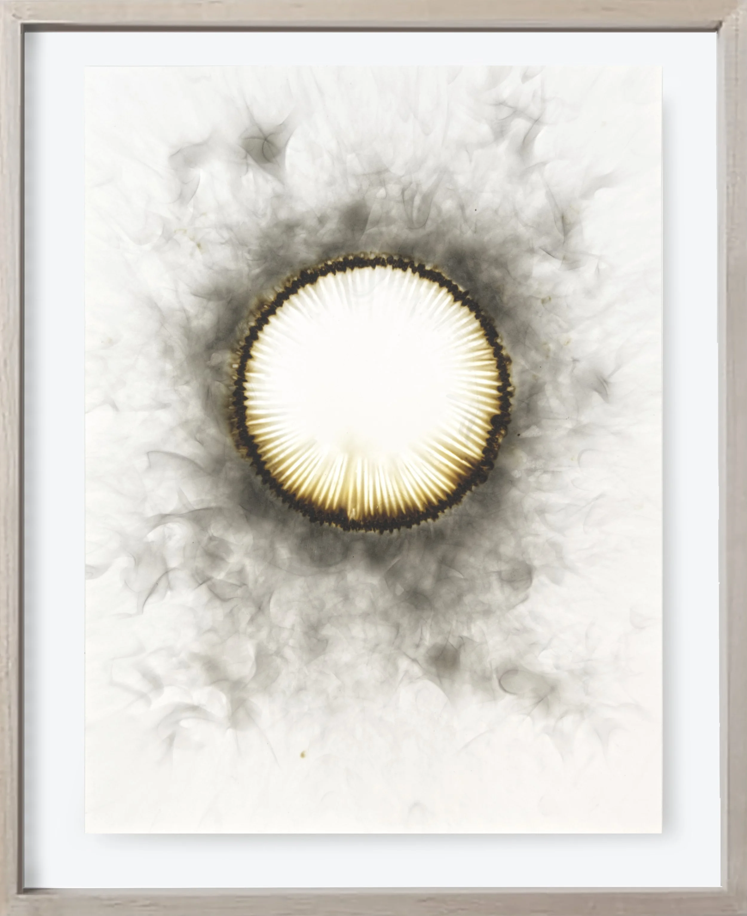  Burnt#130, 2022  
Kerosene soot on archival paper. (19 x 24 )   Unframed 