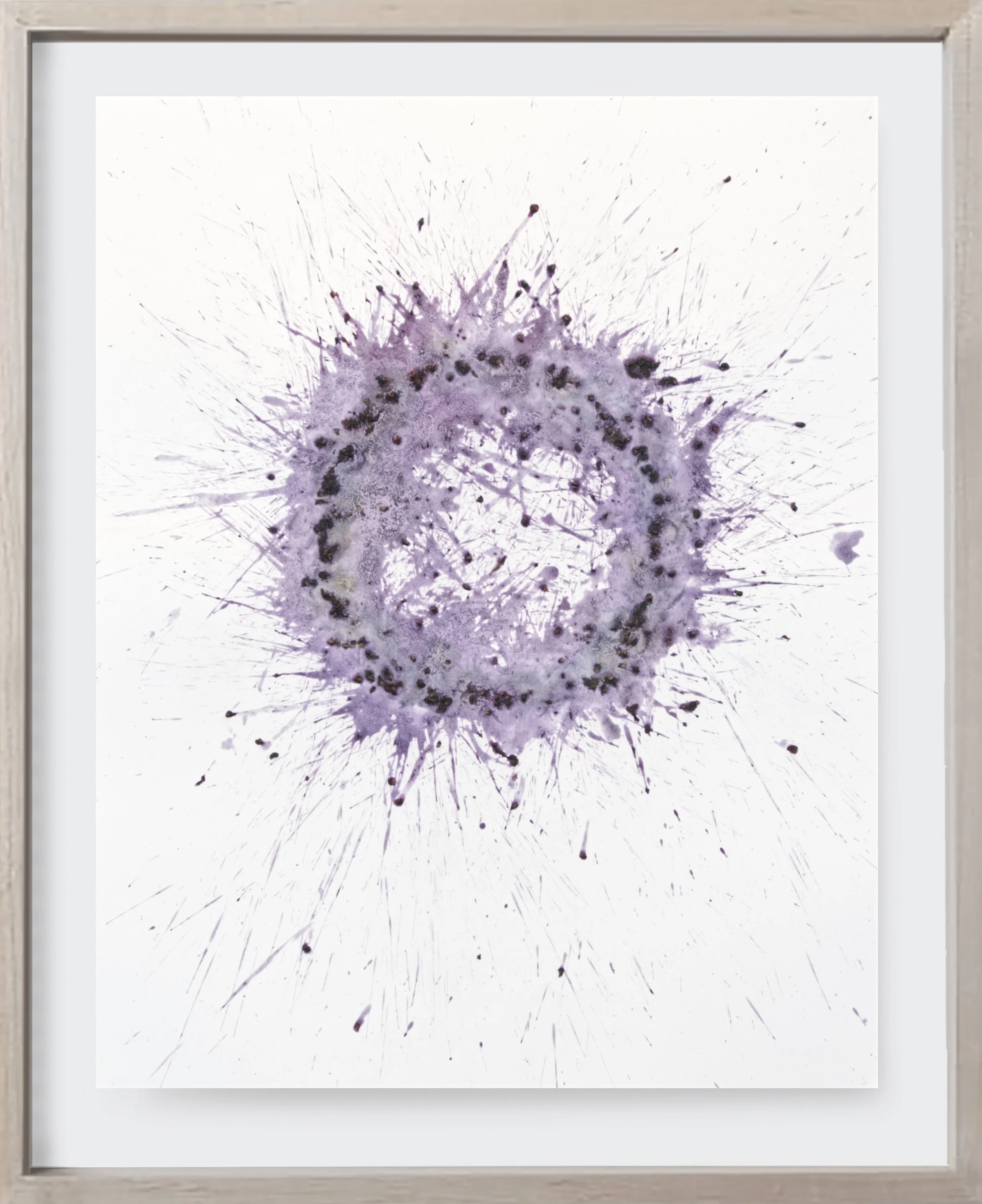  BlackBerry#181, 2025  
Crushed blackberries on archival paper. (19 x 24 )   Unframed    