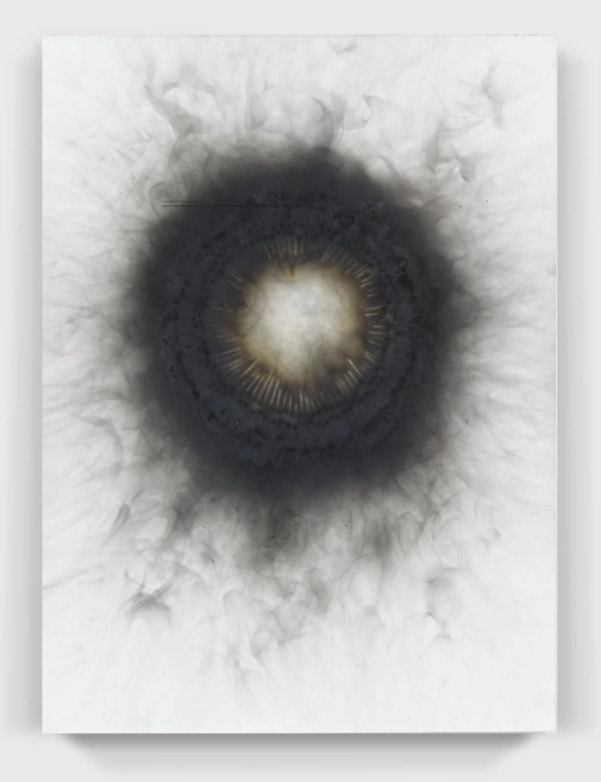  Burnt#134, 2026  
Kerosene soot, burnt match heads on a painted wooden panel.  (18 x 24 x 1.75 in.)   
