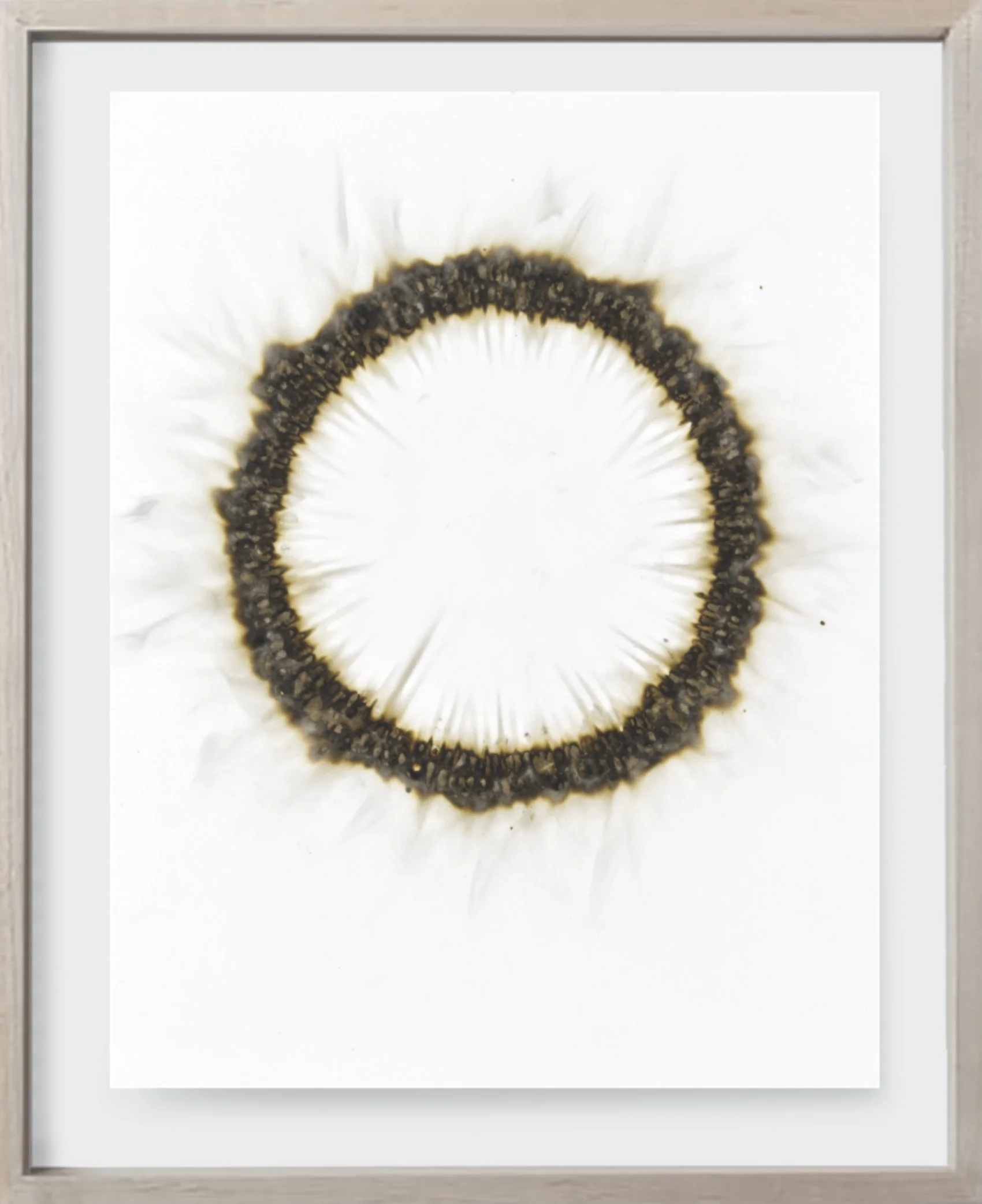  Burnt Mini#37, 2024   
Burnt match heads on archival paper.  (8.5 x 11 in.)    Unframed  
