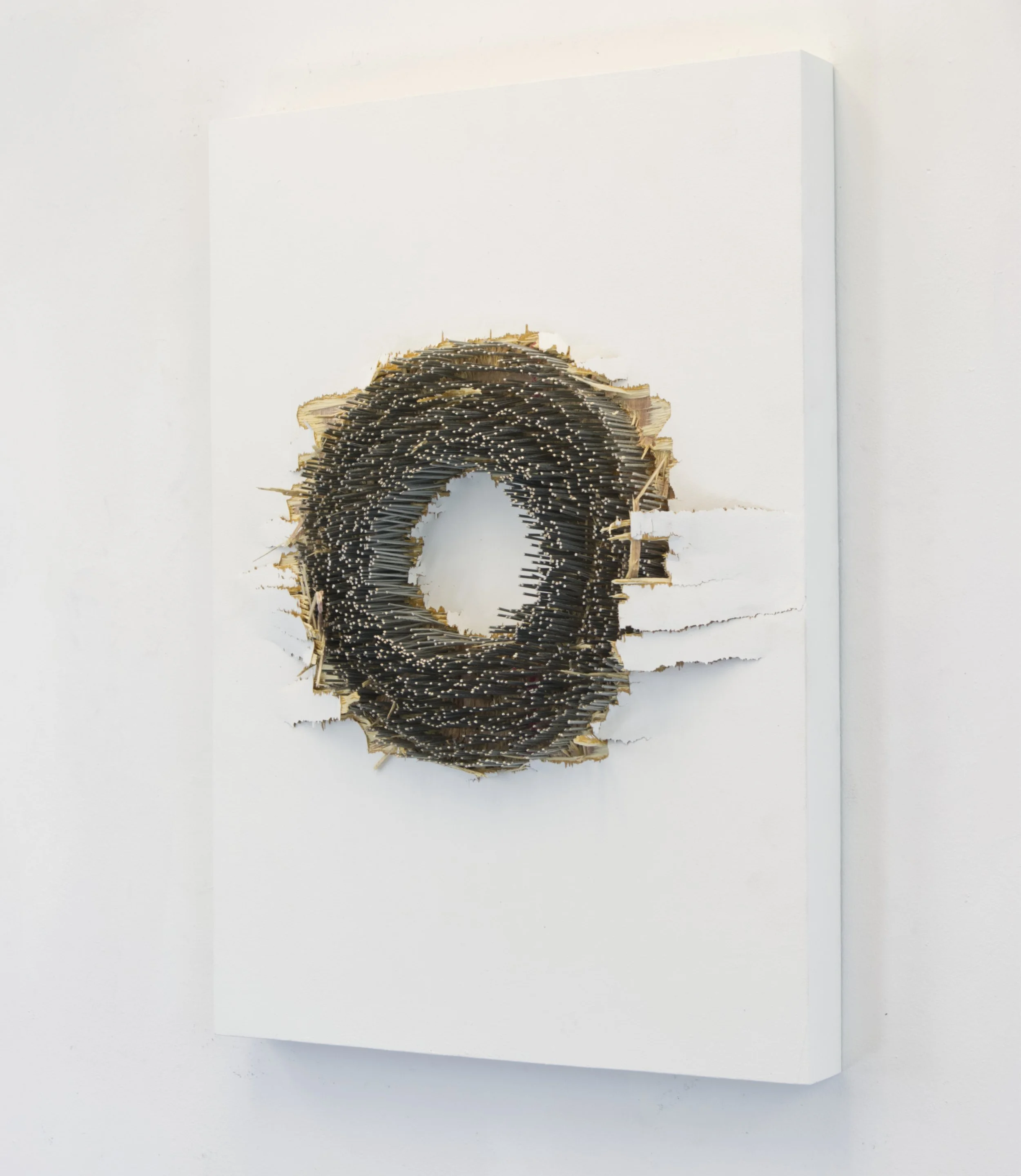  Oxidized#114, 2024  
Nails through a painted wooden panel.  (16 x 22 x 3.75 in.)   
