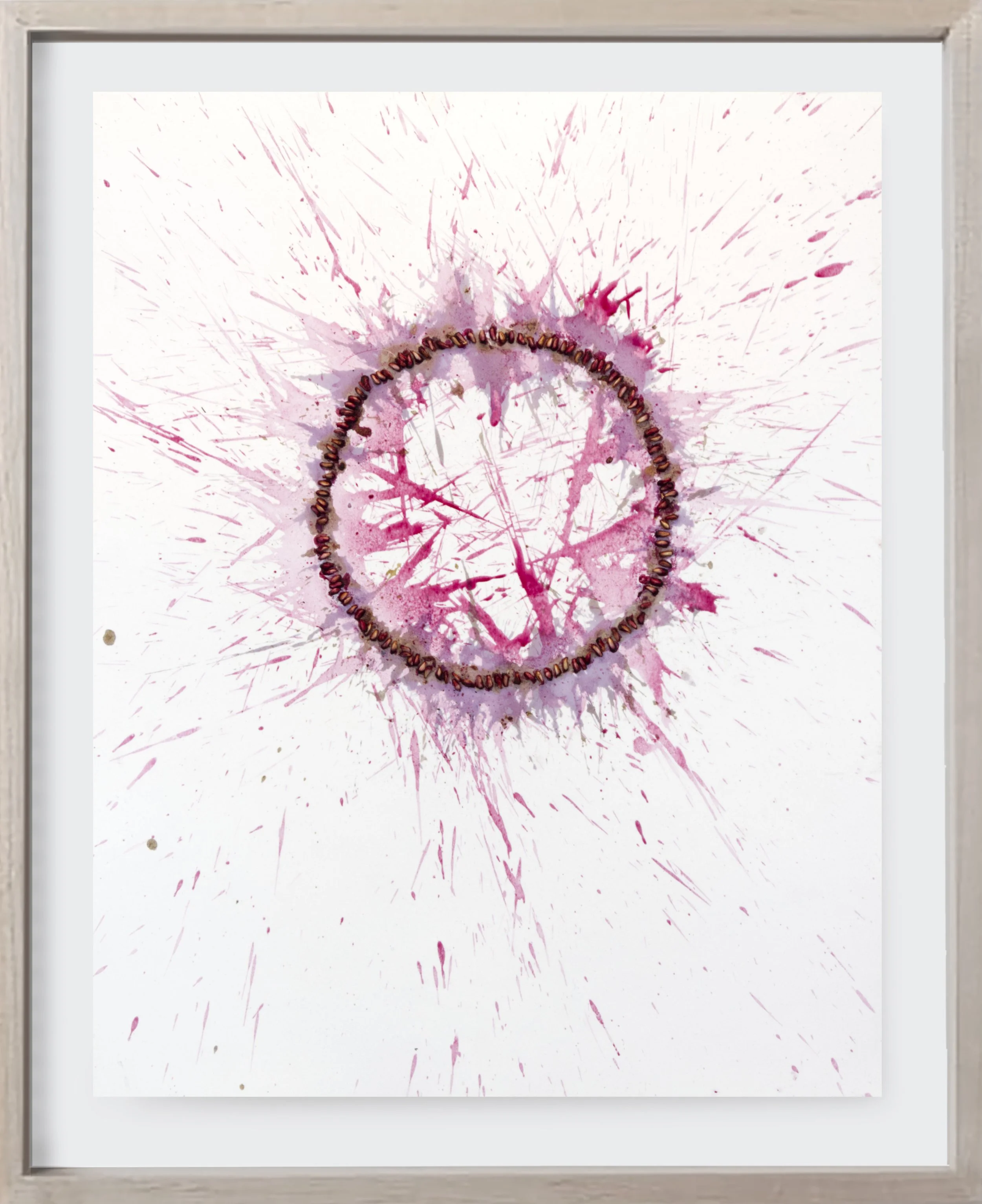  Pomegranate#179, 2025  Crushed pomegranate on archival paper. (19 x 24 )   Unframed    