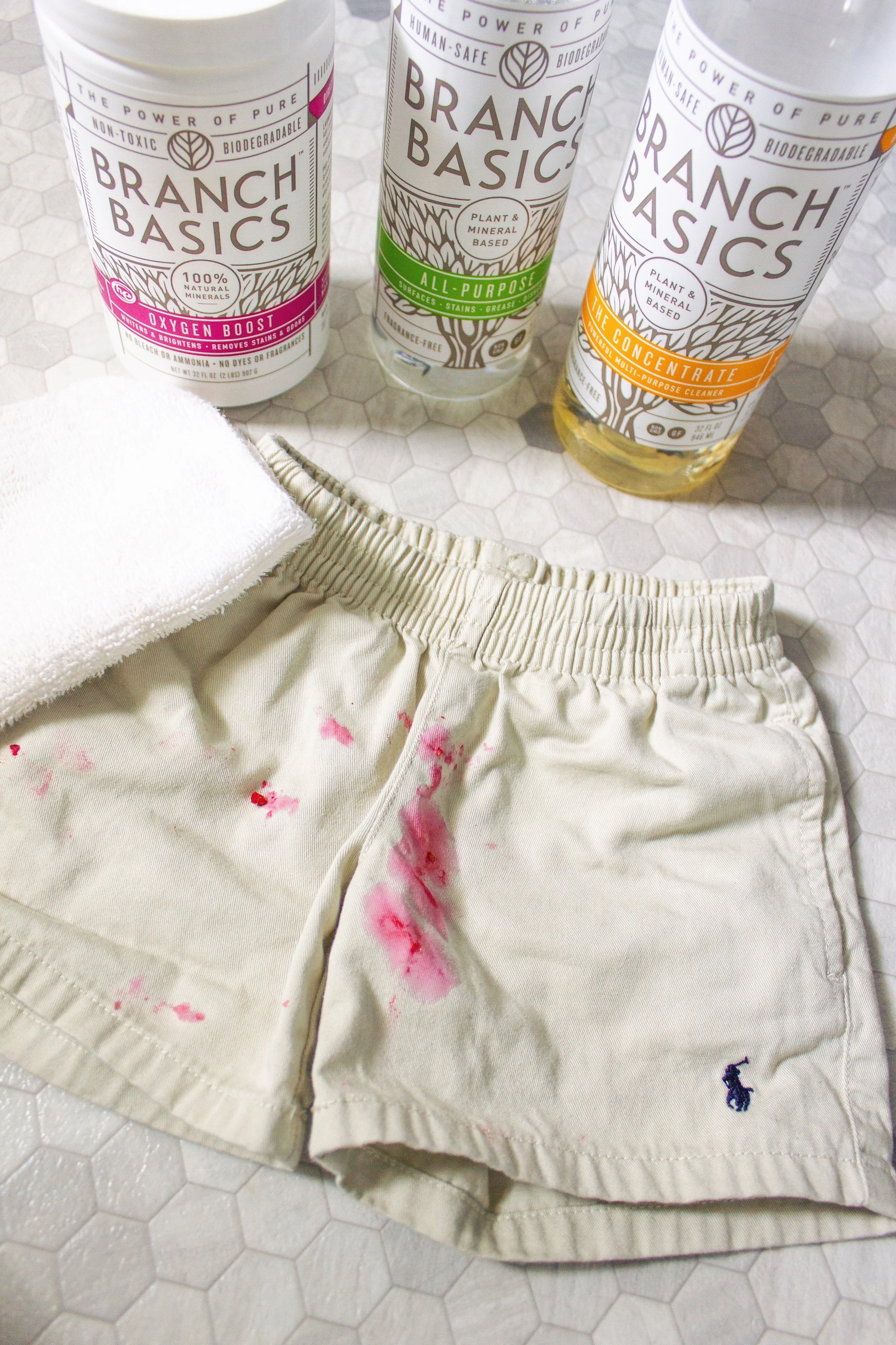 Healthy Living Swaps Branch Basics NonToxic Baby Stain Remover