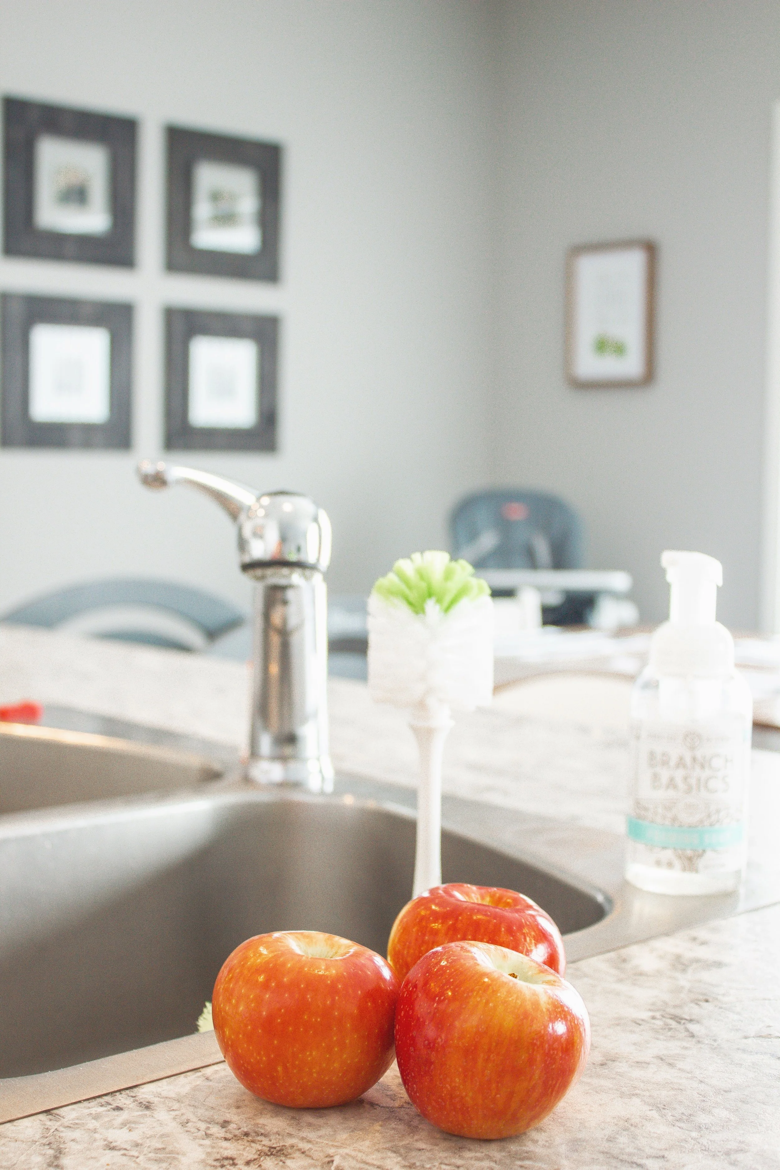 Branch-Basics-non-toxic-cleaner-kitchen-10.jpg