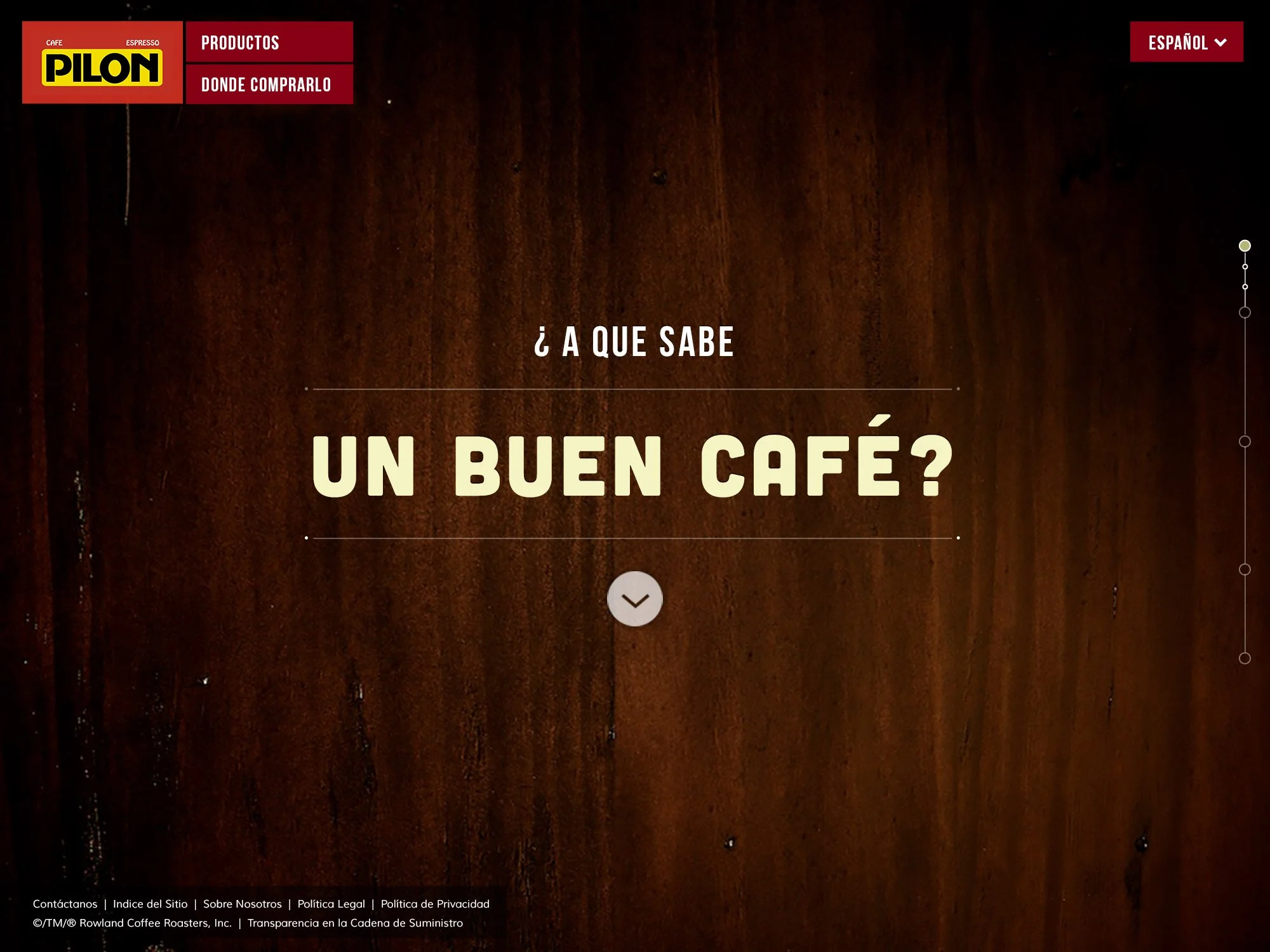 Cafe Pilon  |  Website Design