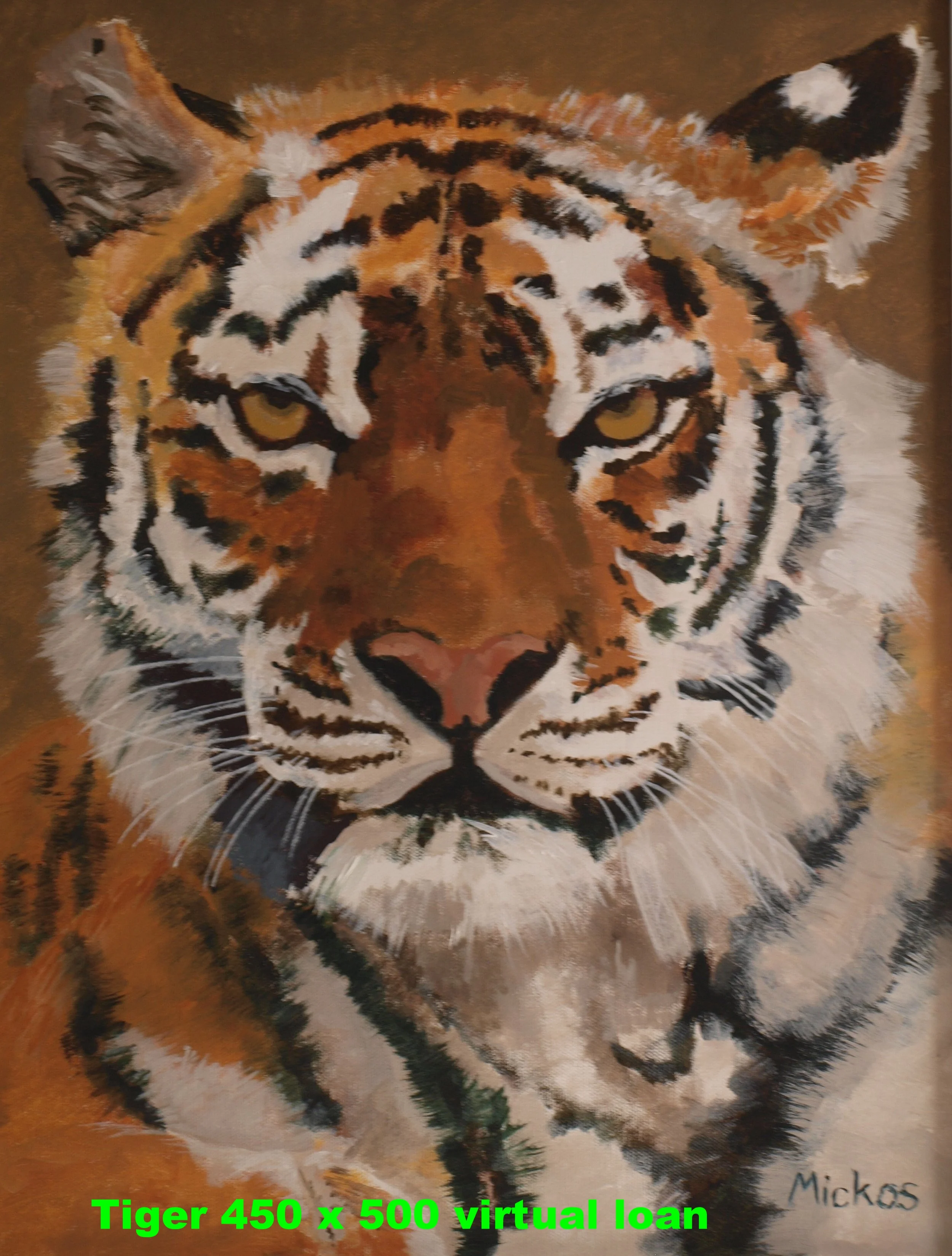Tiger.jpg