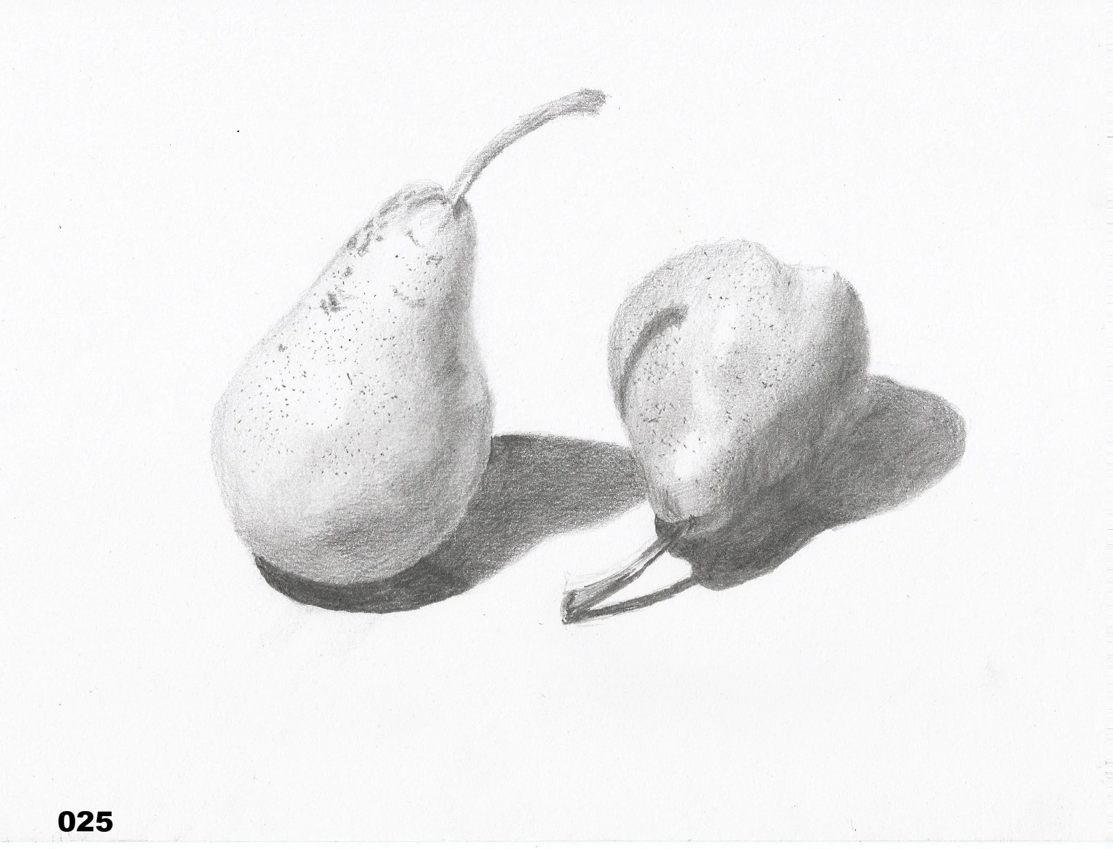Fig 6 (1.3.1).jpg