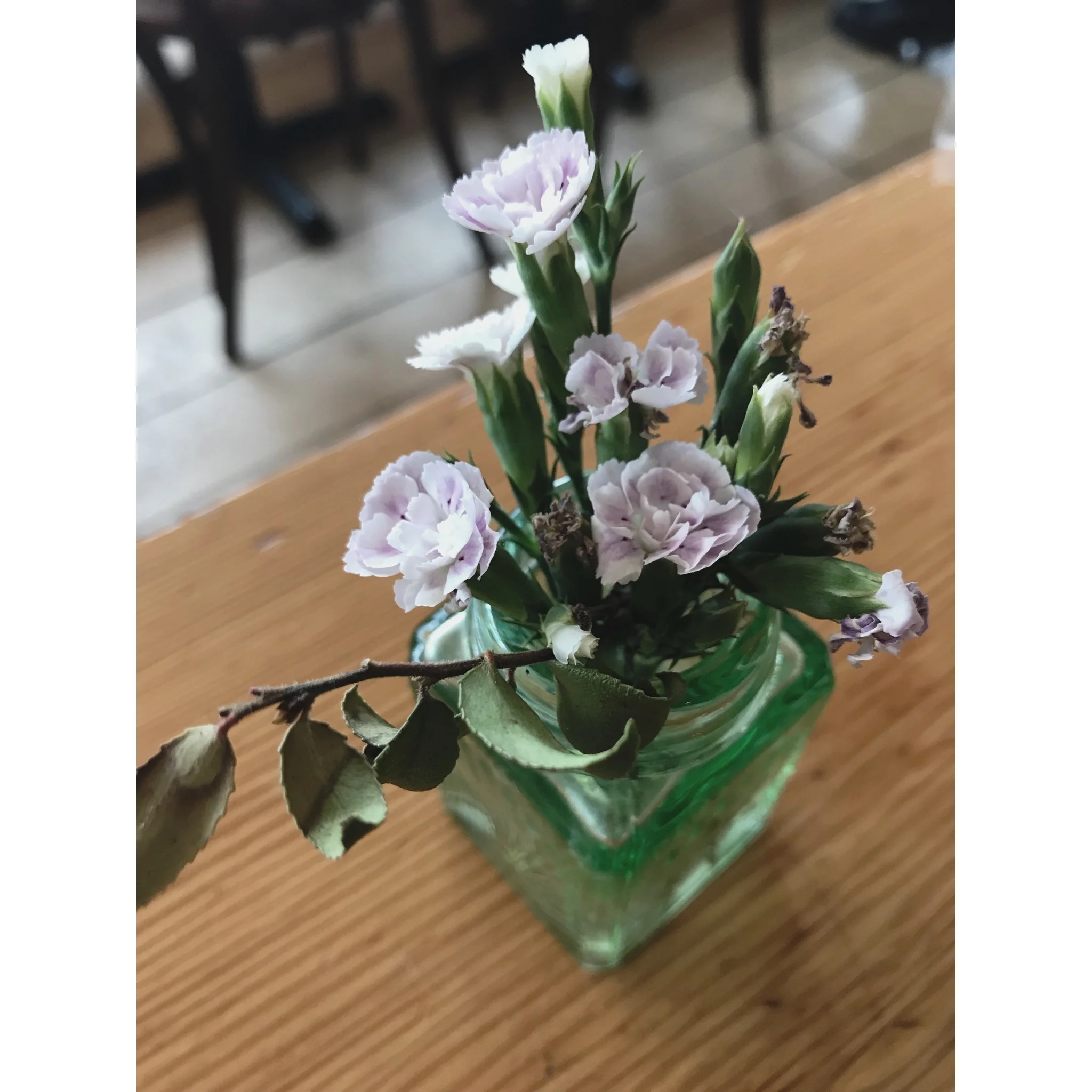 Green Jars and Clippings 