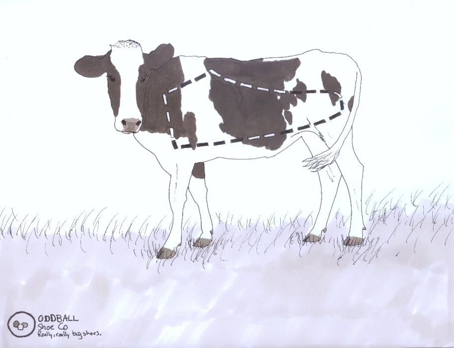 Cow.JPG
