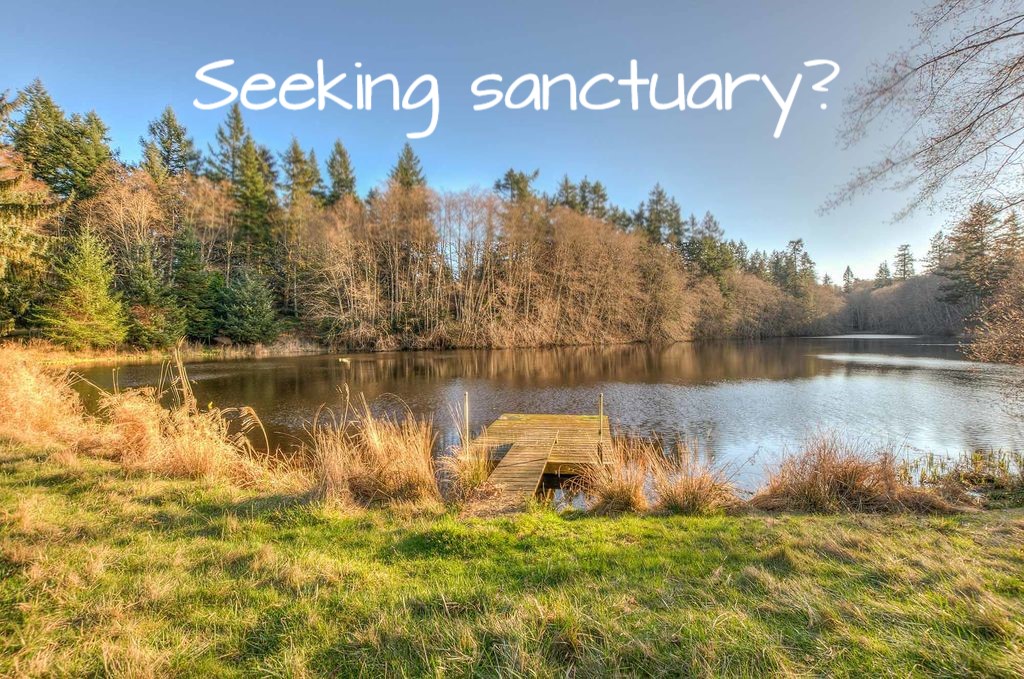 Seeking Sanctuary.jpg