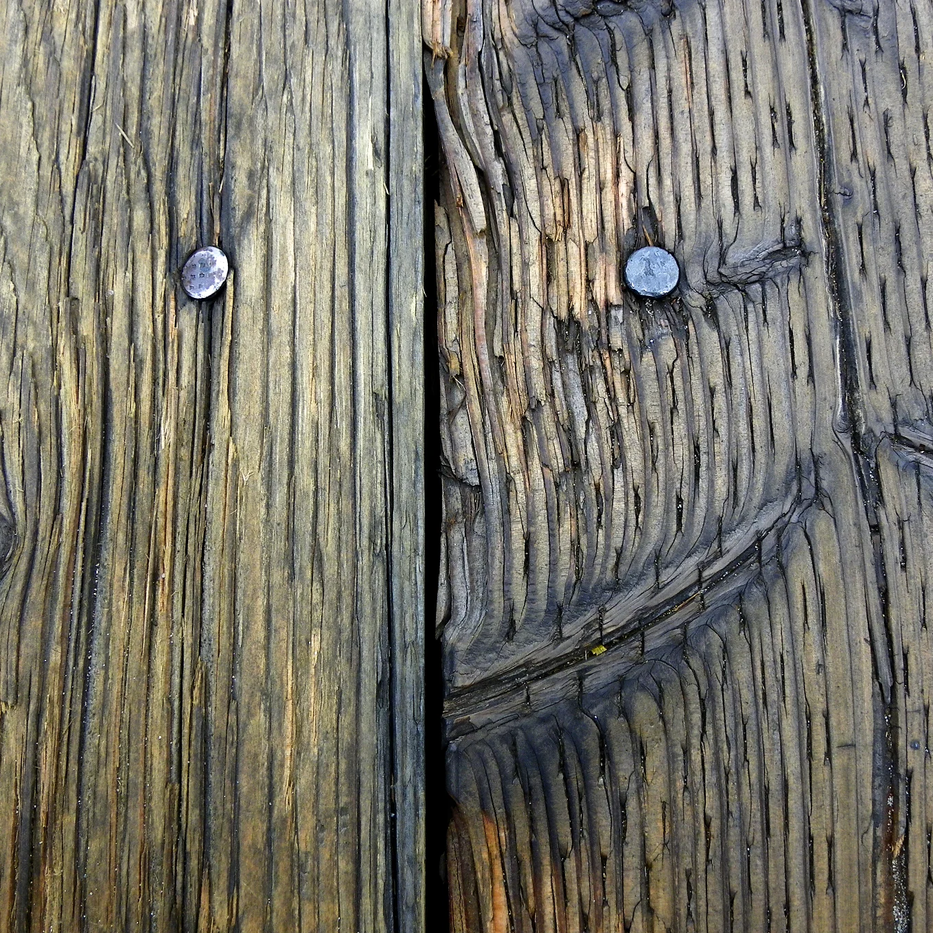 Fence.jpg