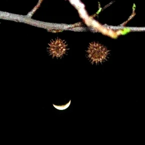 Moon Smiley, 3 - Version 2.jpg