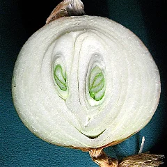 Onion Smiley, 3.jpg