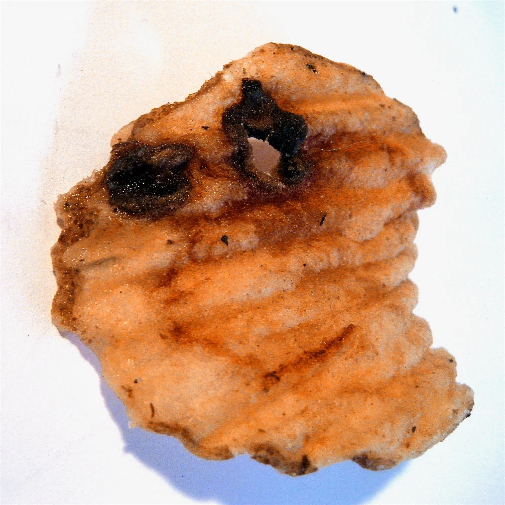 Potato Chip Smiley.jpg