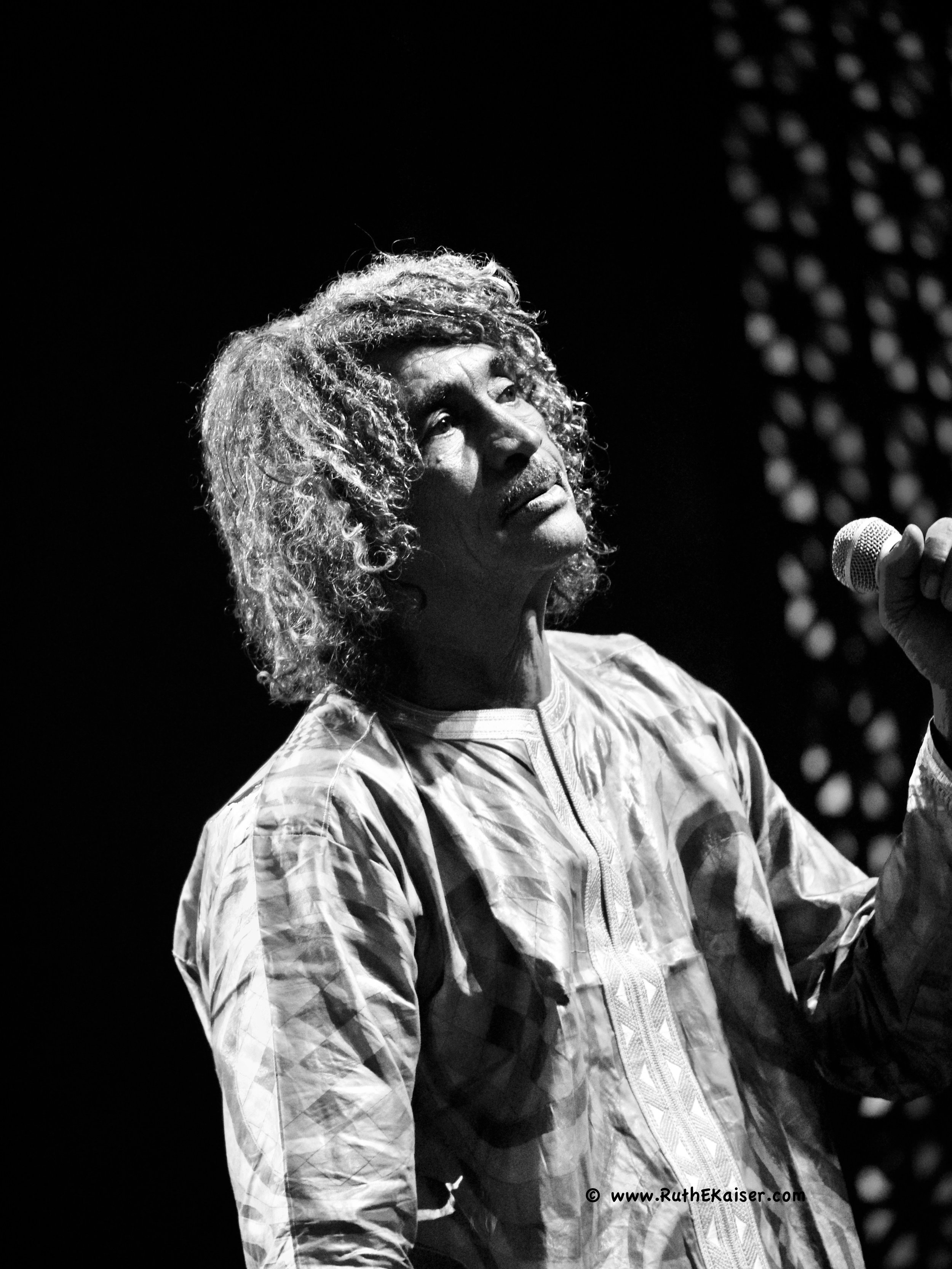 RuthKaiser Tinariwen 3.jpg