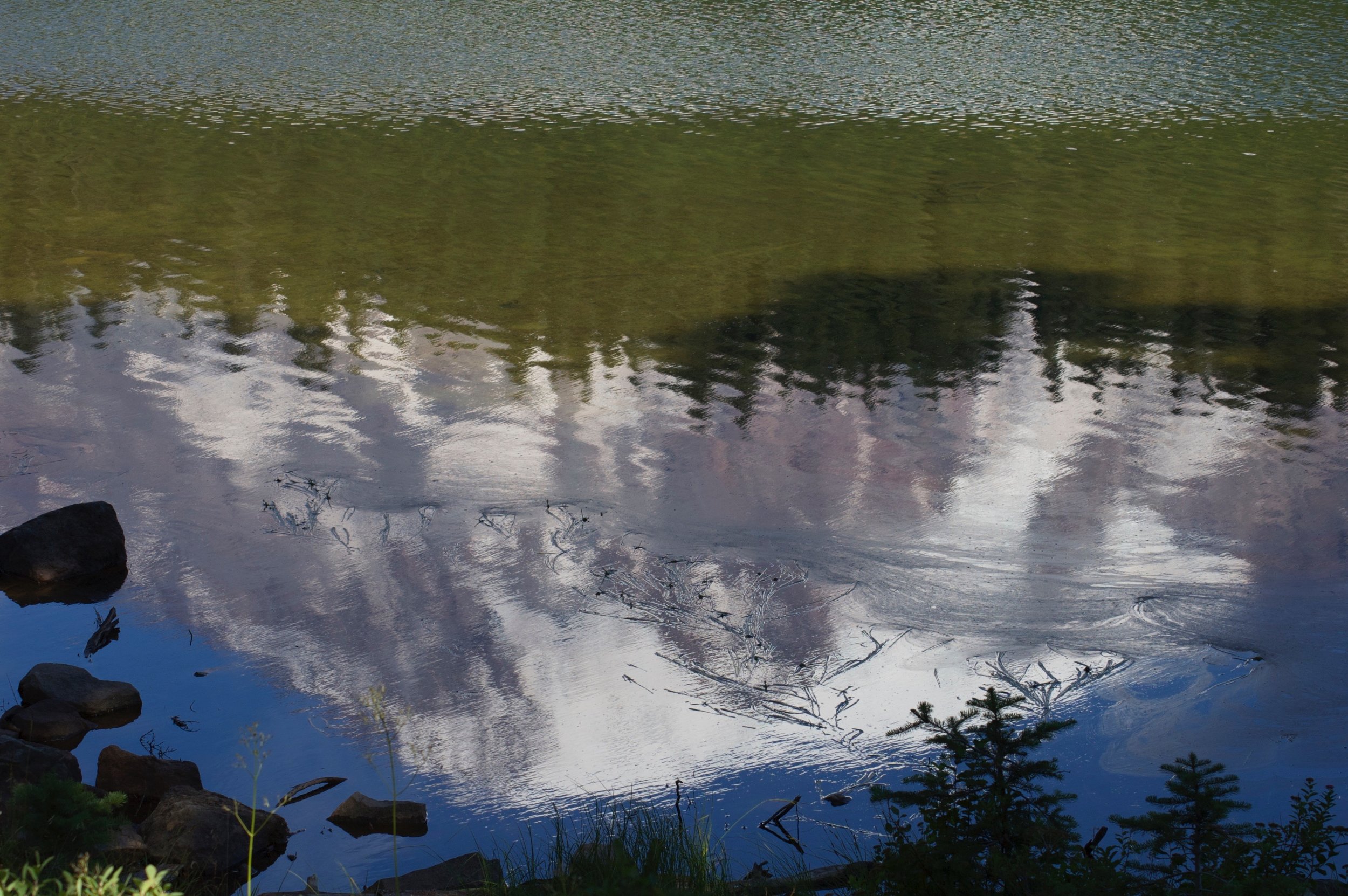 DSC_0189_1.jpg