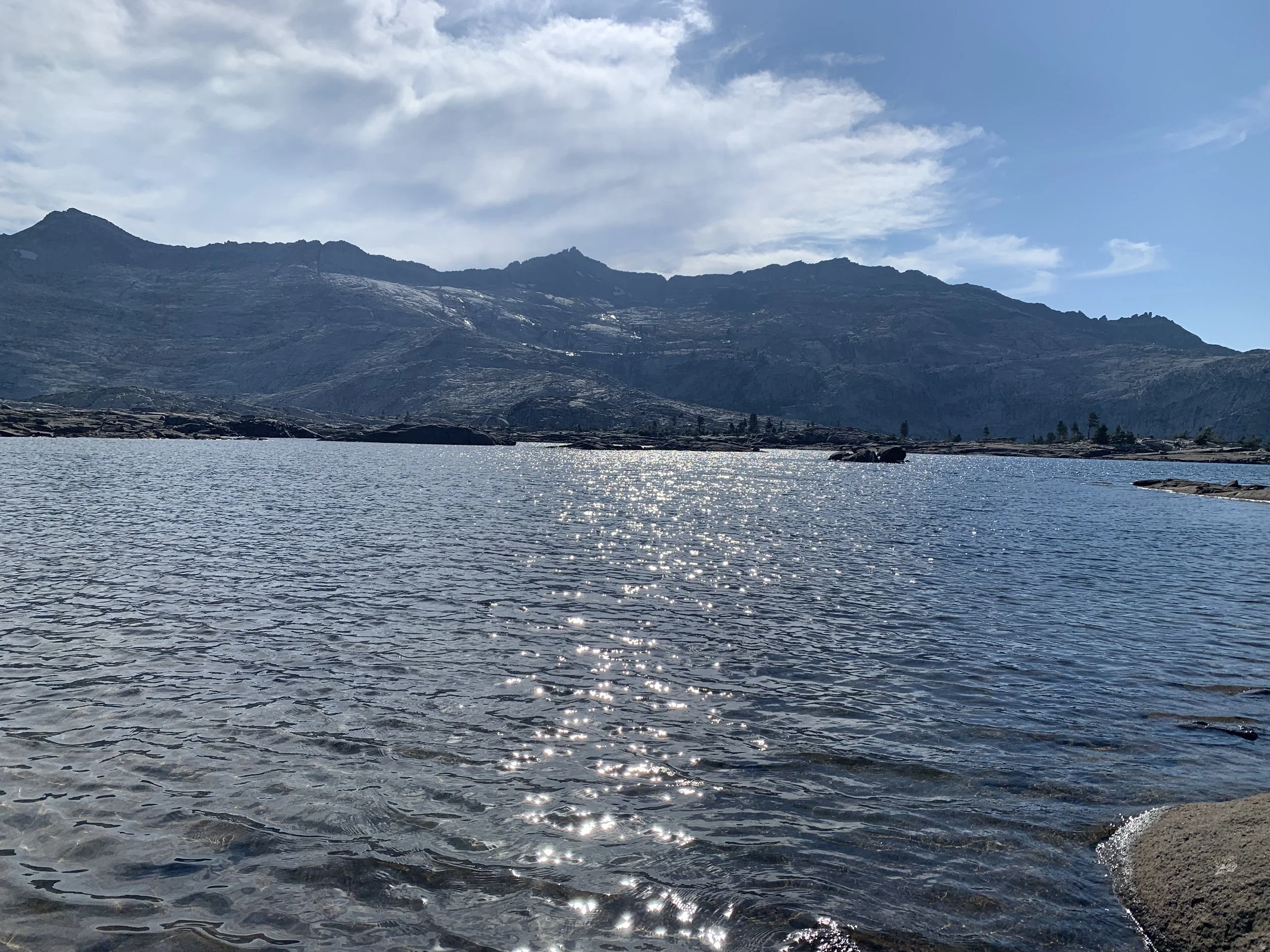 IMG_3626.jpeg