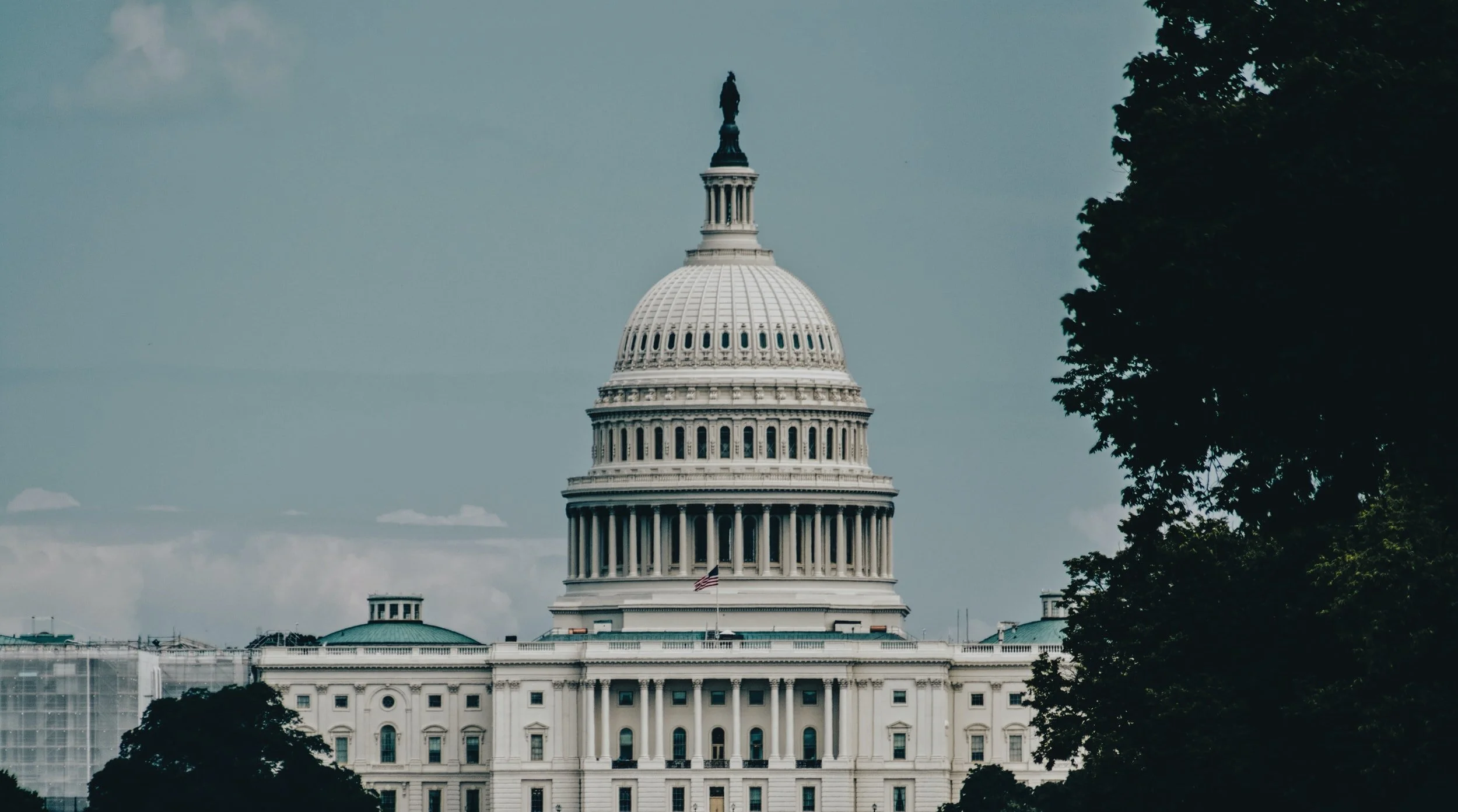 Statement on the King-Grassley DAF Reform Bill