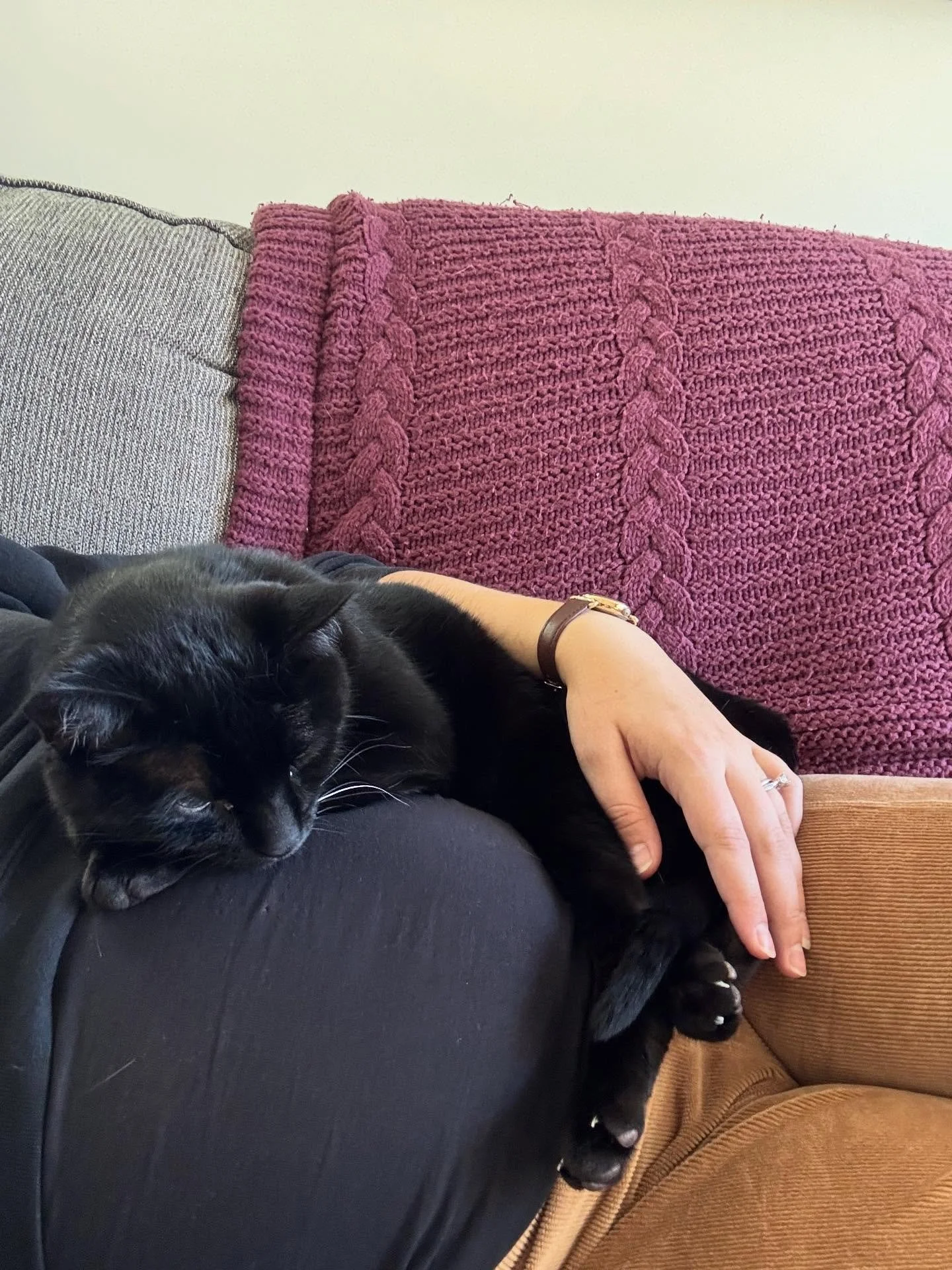 Travis and I have been absolutely floored by the support and love we&rsquo;ve received for Baby B.  Special thanks from Ollie &amp; Dewey for all of their new favorite stuff! 😂

We somehow didn&rsquo;t get any non-candid photos of just the two of us