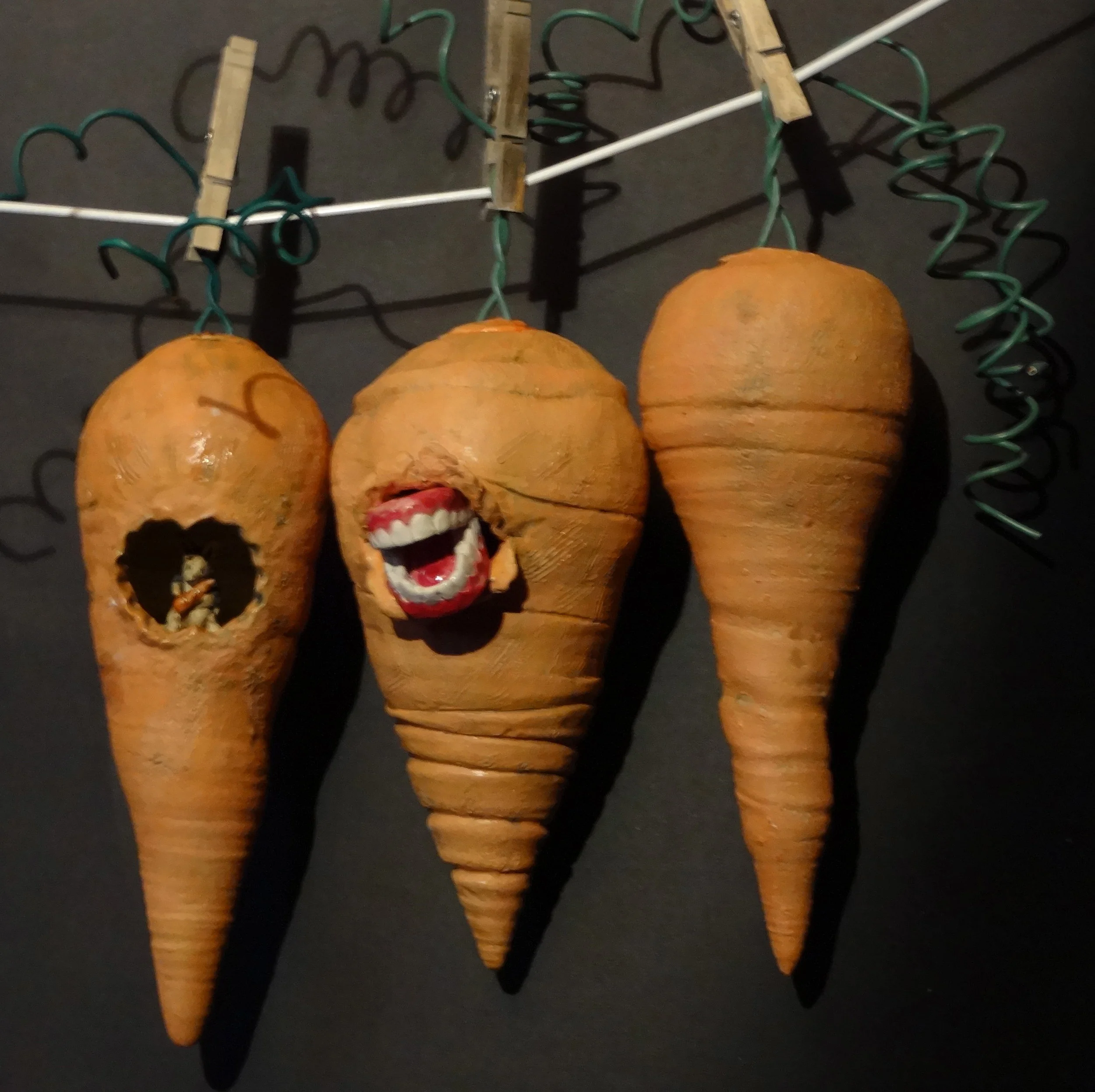 3 carrots on the line.JPG