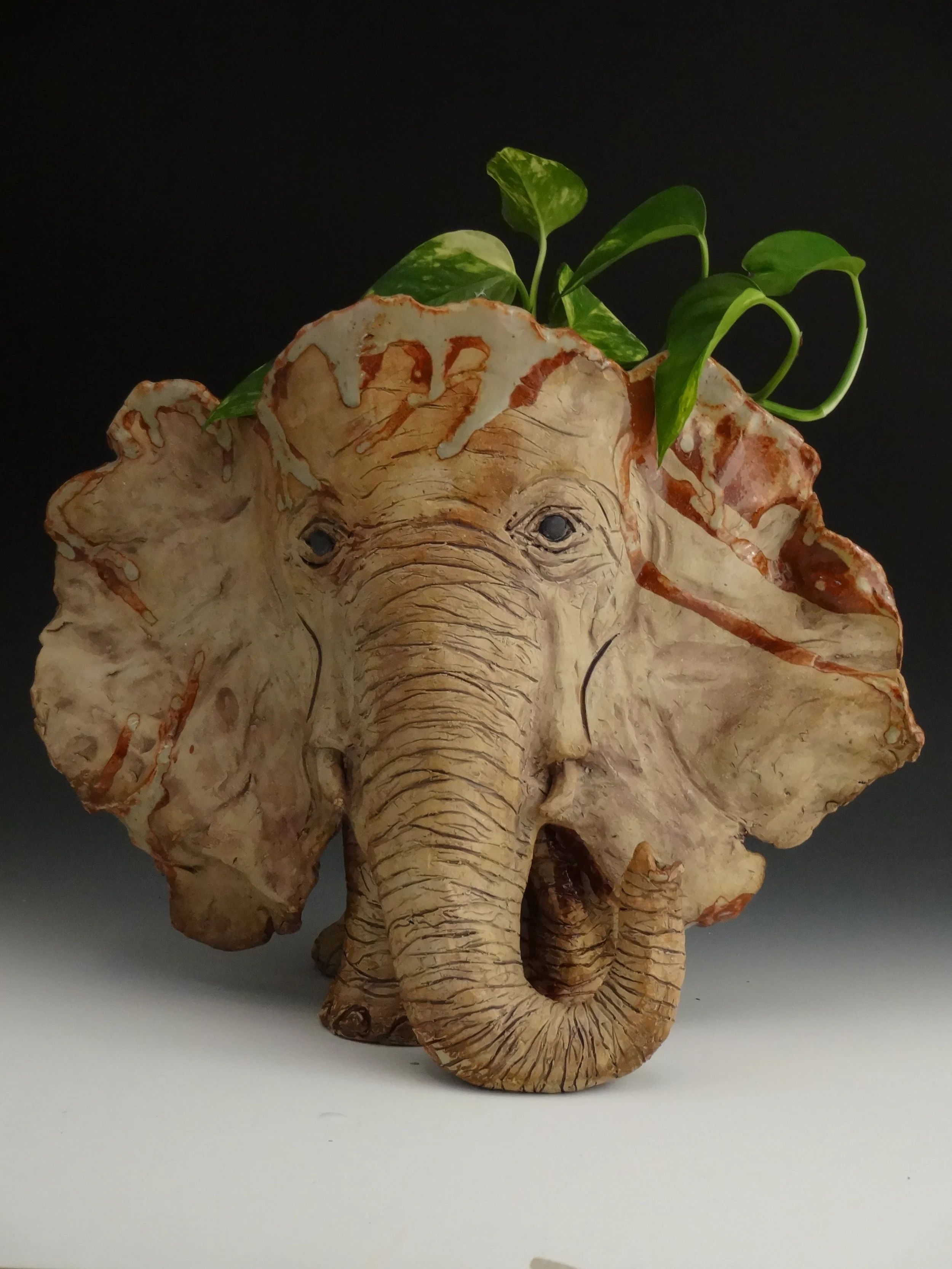 Elephant with plant.JPG