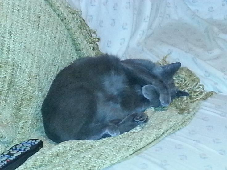 20131123_230128.jpg