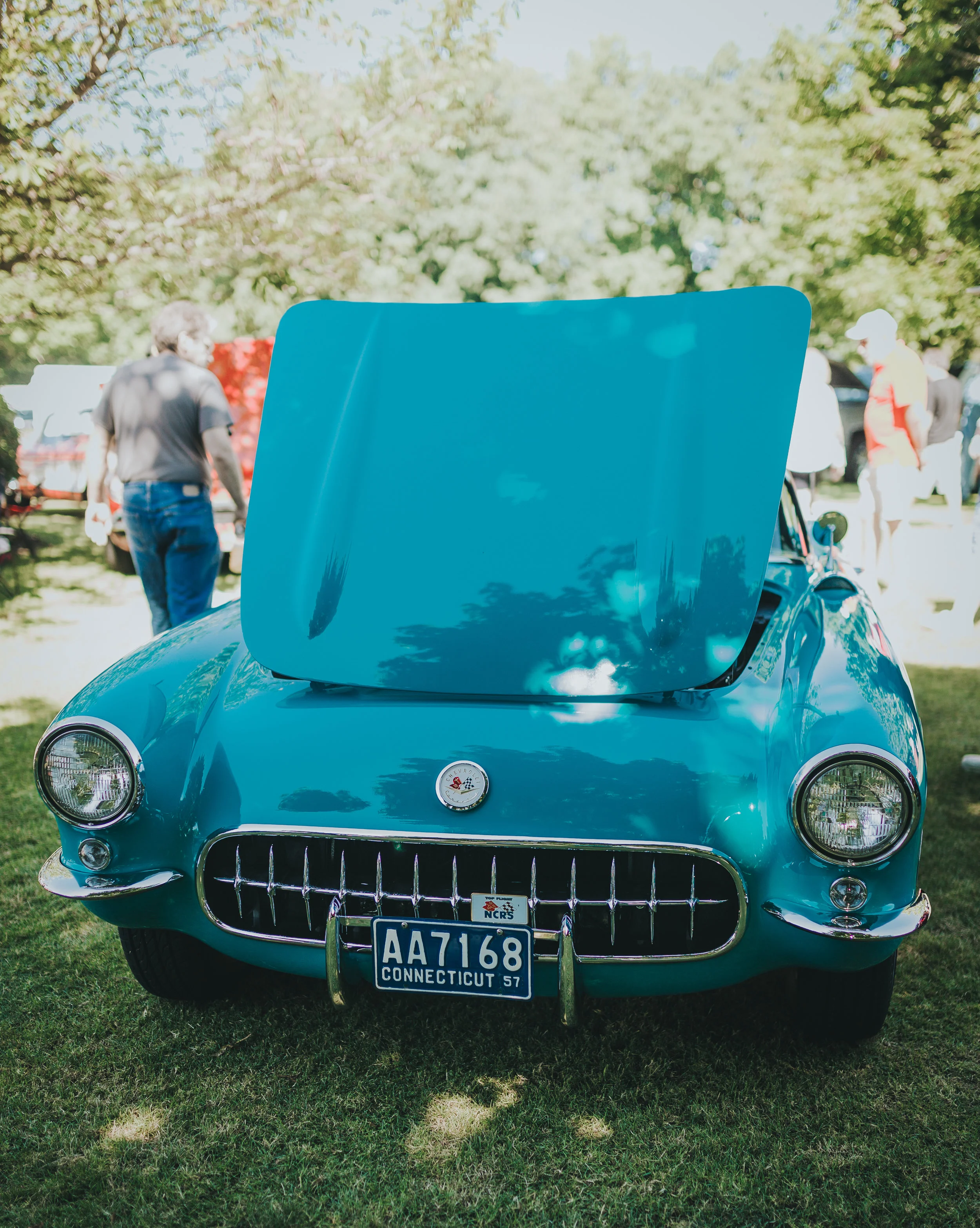 170A3610-2.jpg