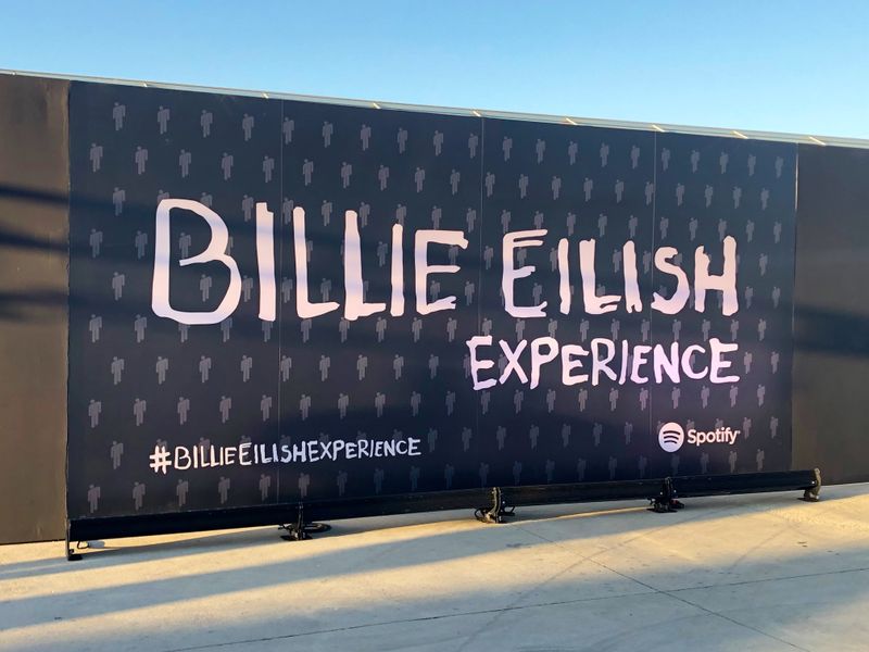 The Billie Eilish Experience