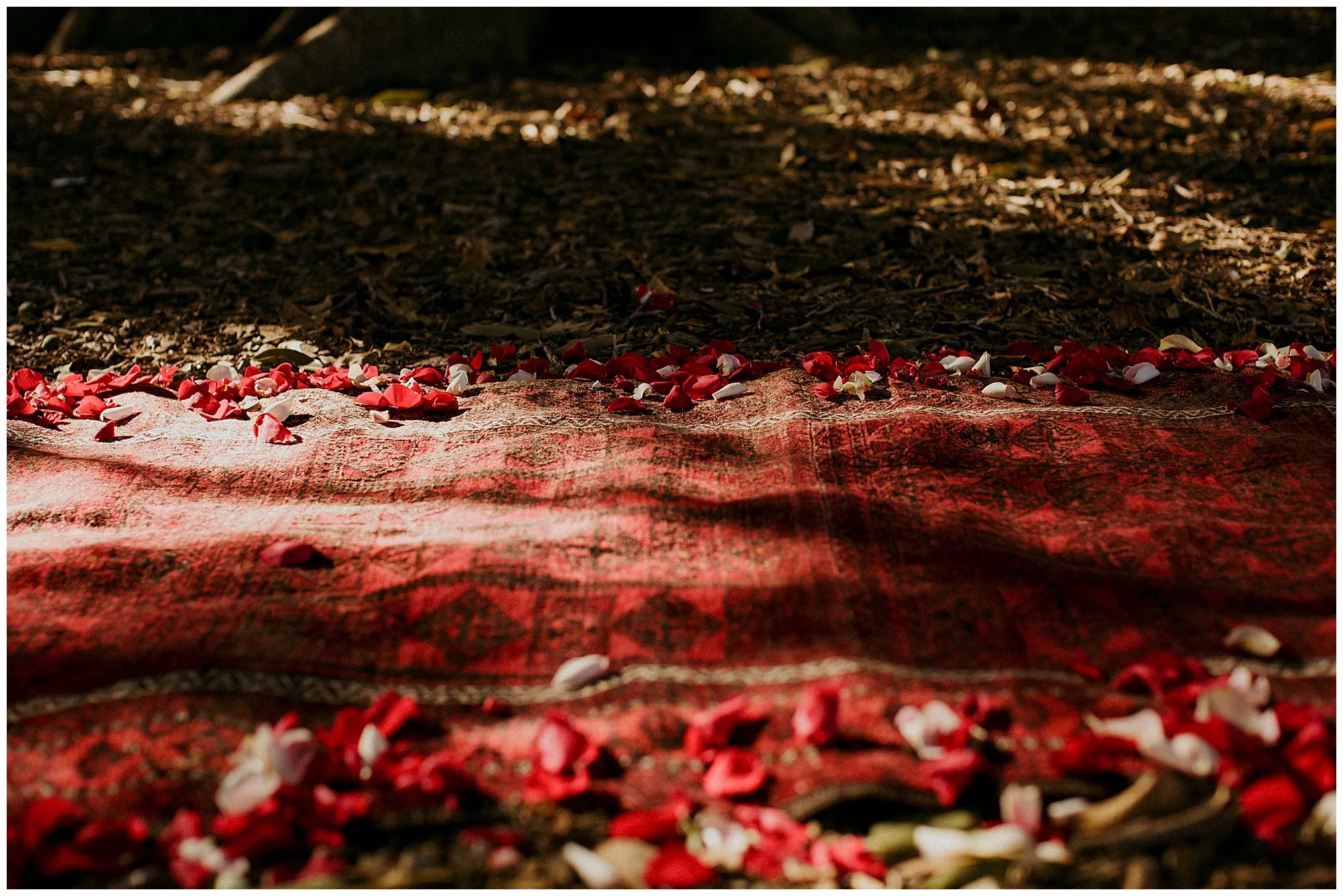emma hampton photography_0182.jpg