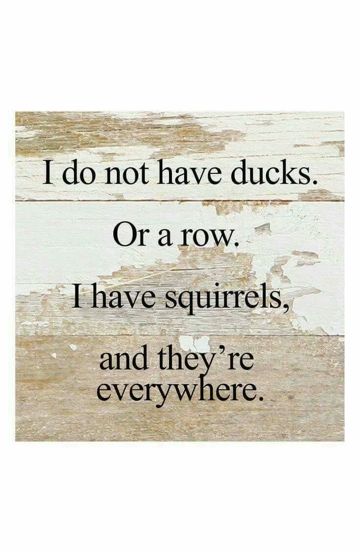 Fun Fridays with Terry!