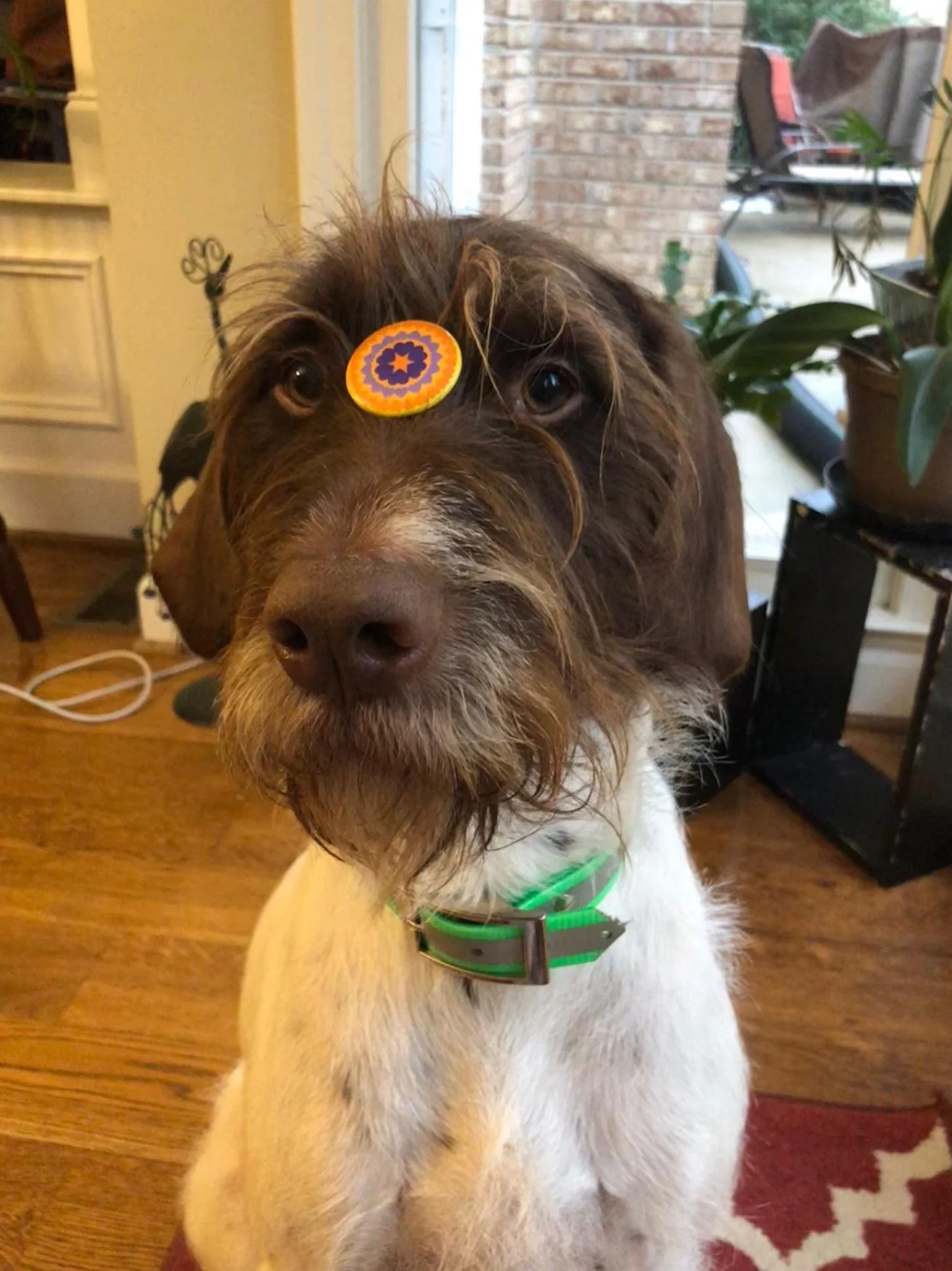 Walter and Fam are with Michael!